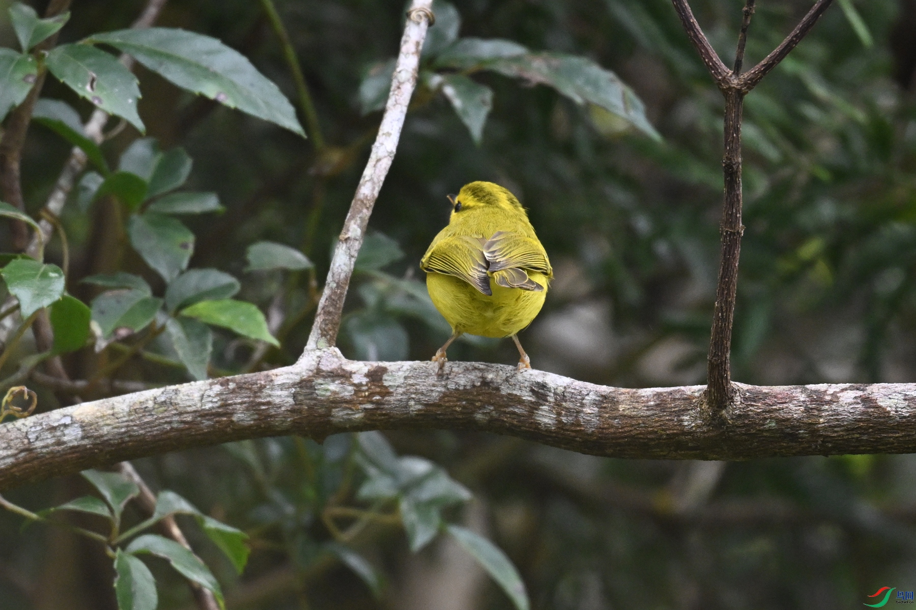 DSC_7056.JPG