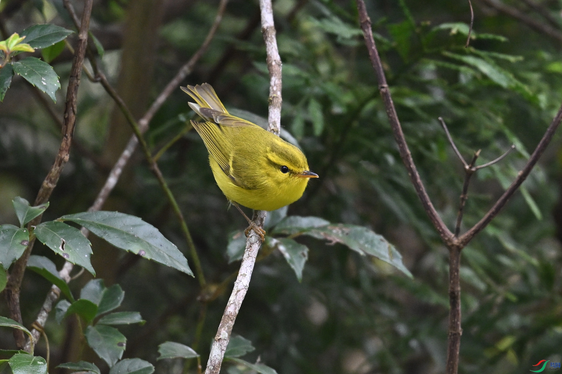 DSC_7074.JPG