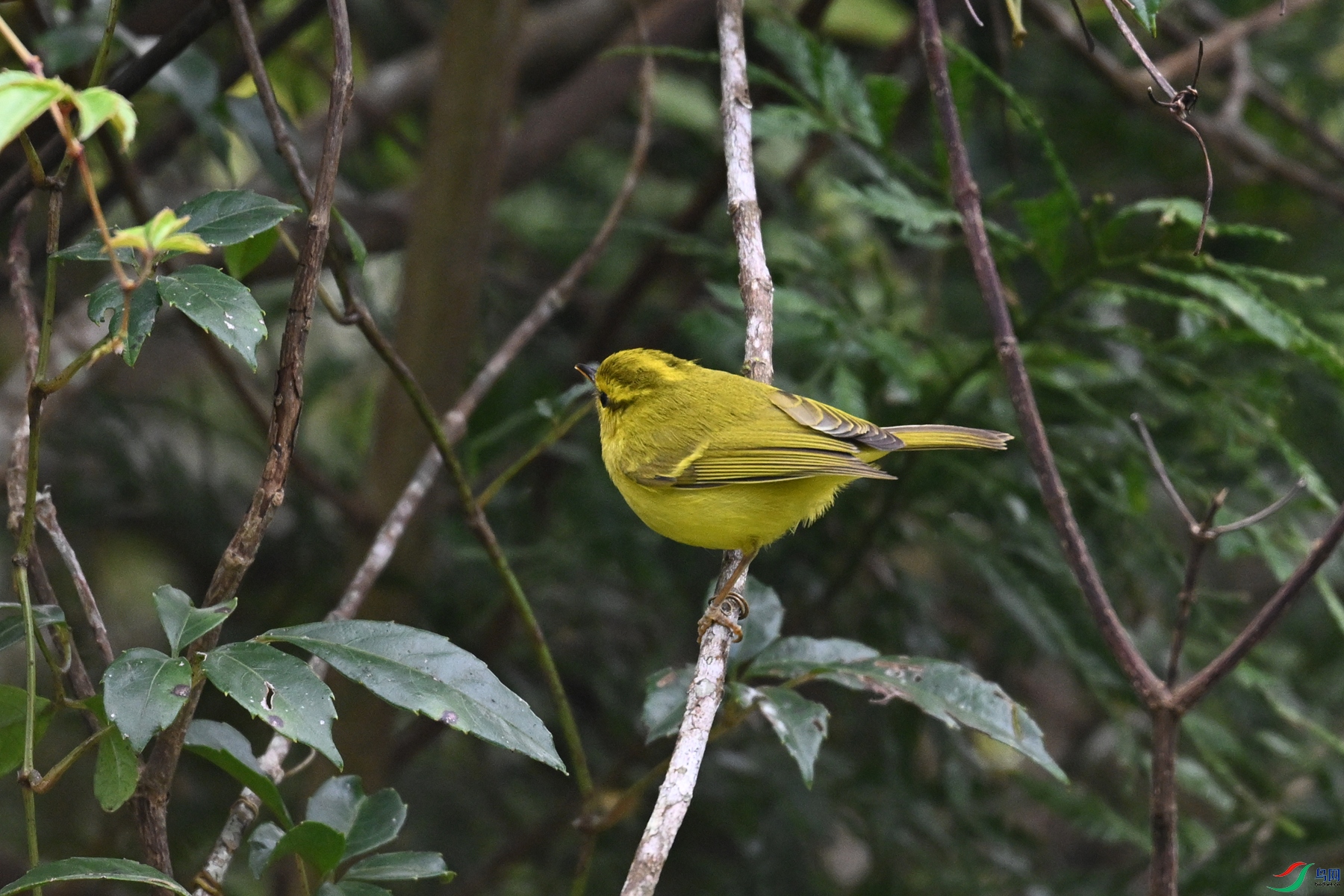DSC_7089.JPG