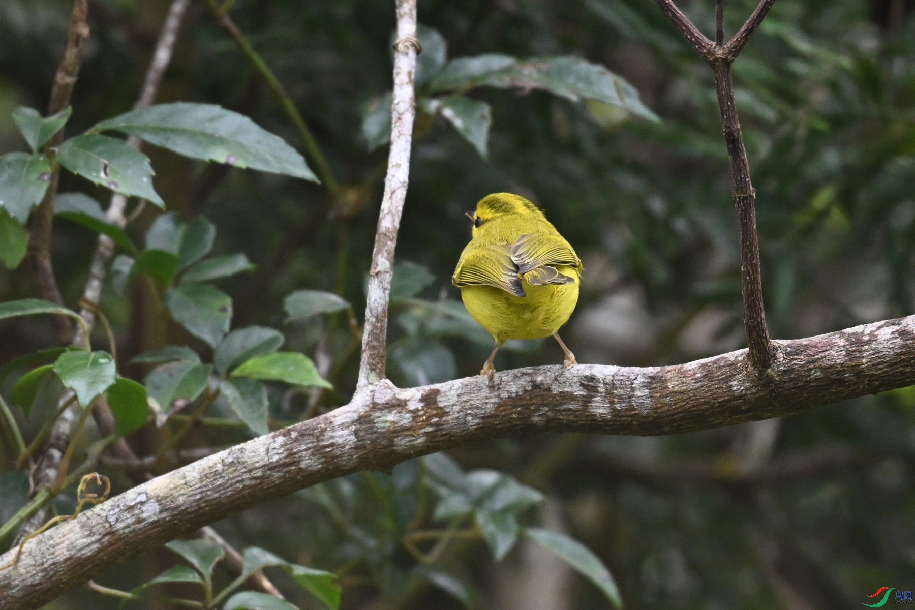 DSC_7057.JPG