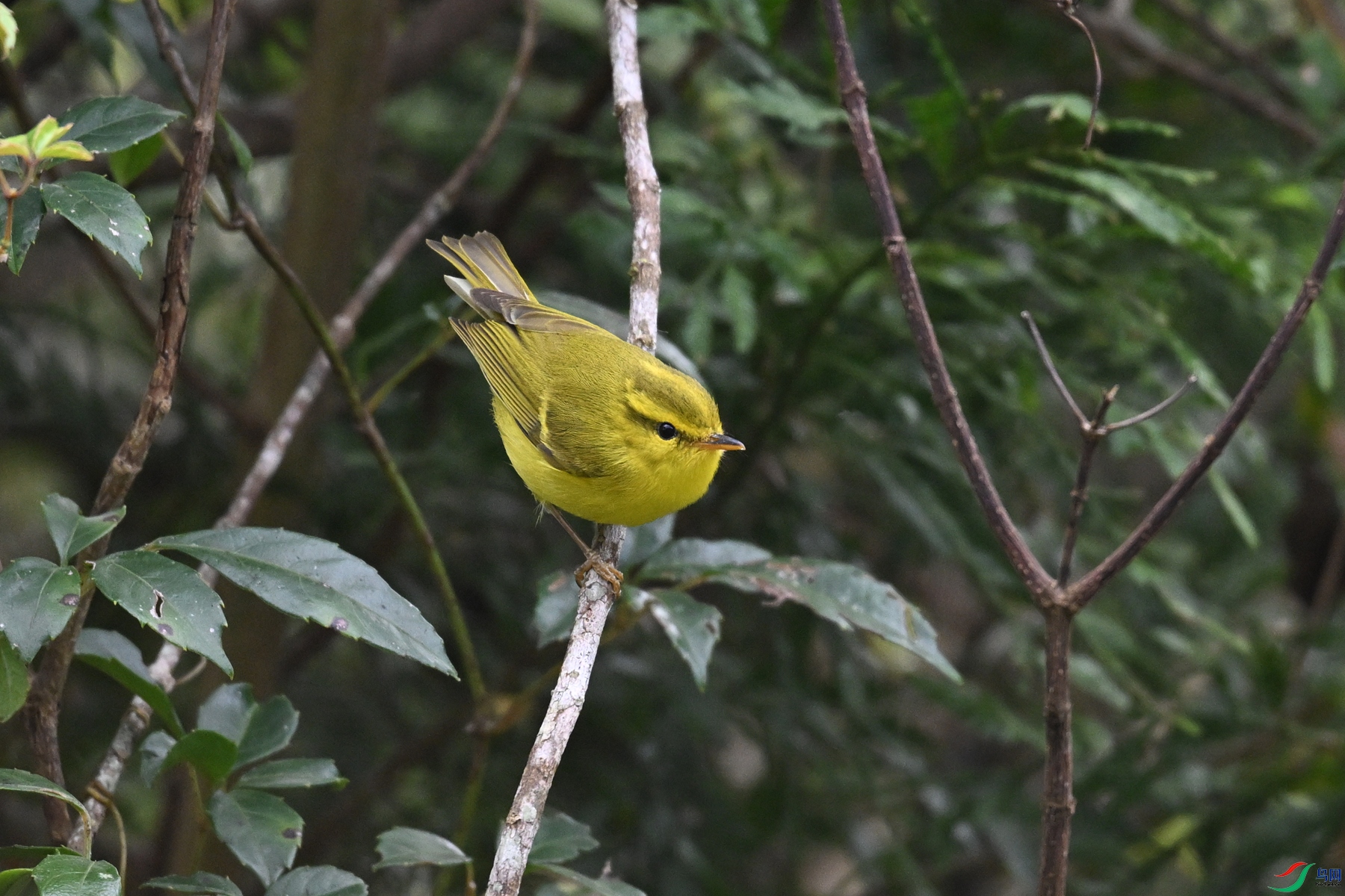 DSC_7076.JPG