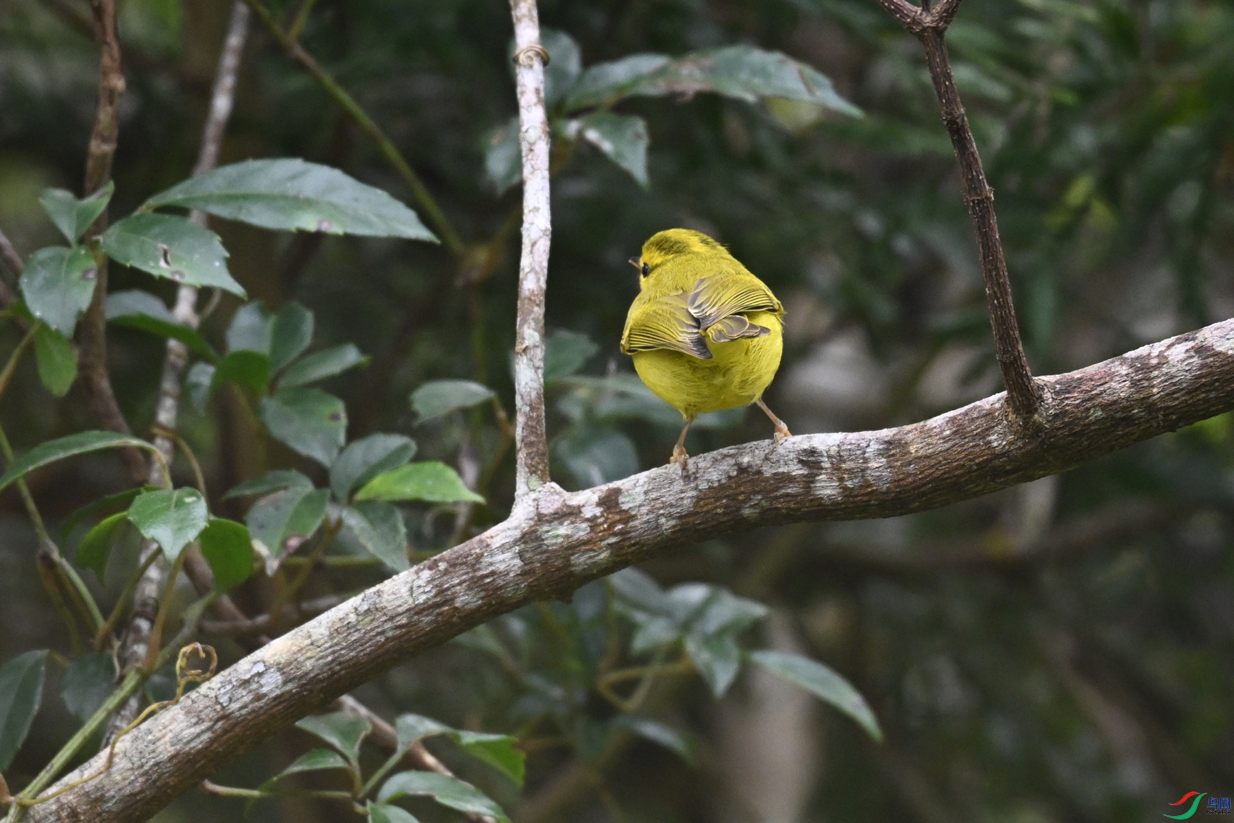 DSC_7058.JPG