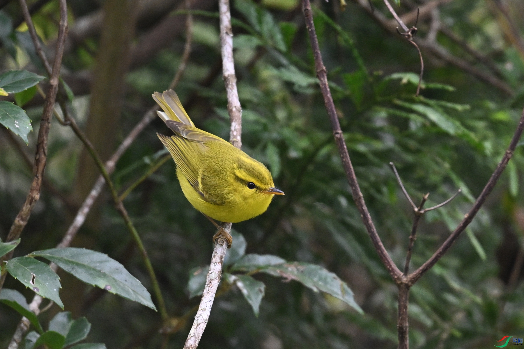DSC_7094.JPG