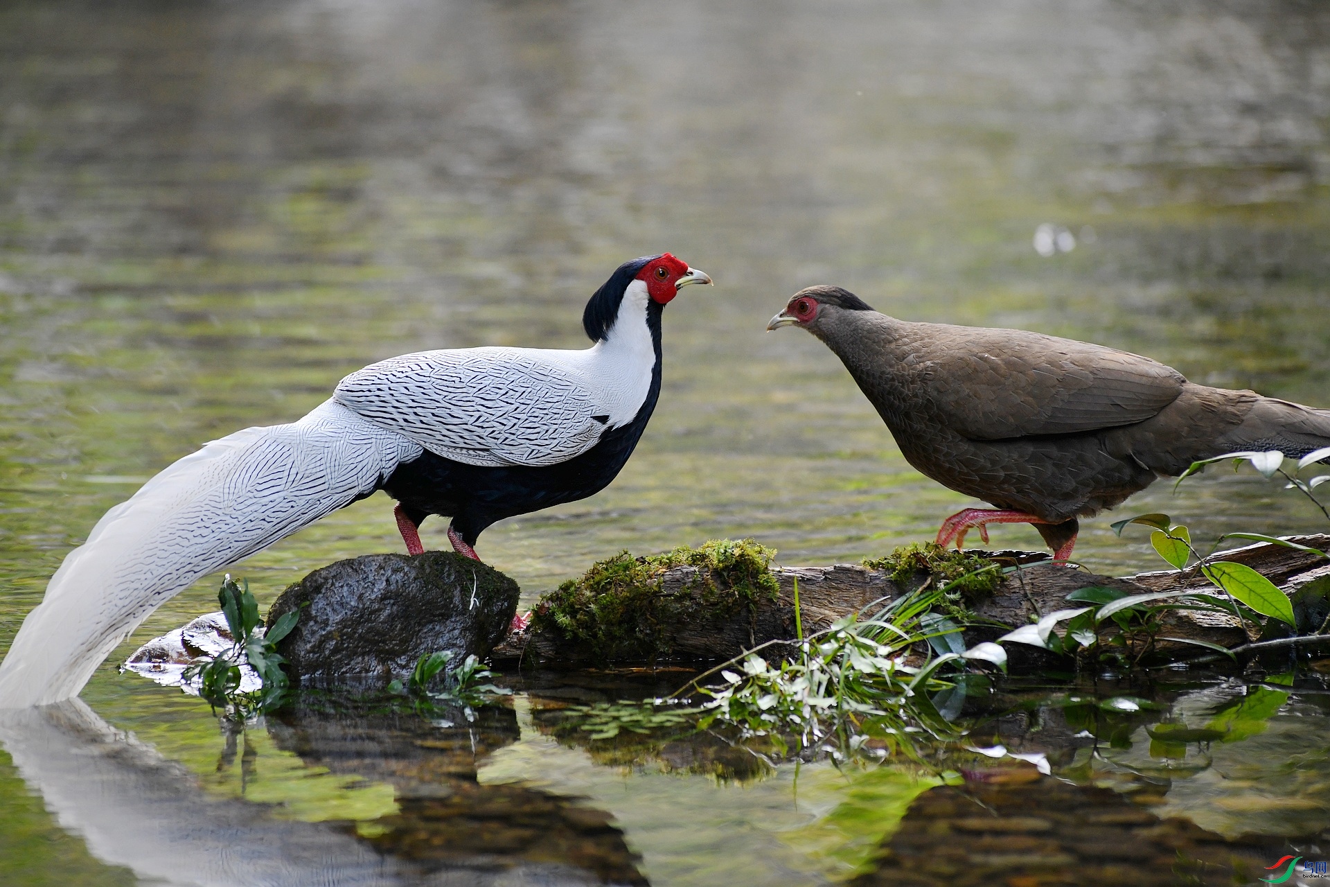 DSC_3943.jpg