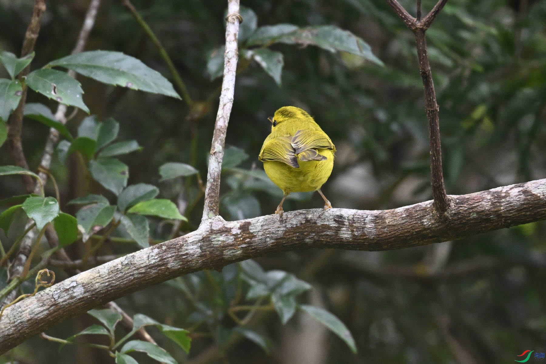 DSC_7059.JPG