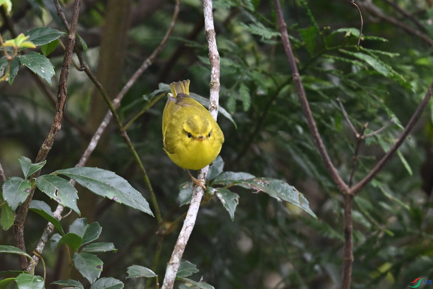 DSC_7080.JPG