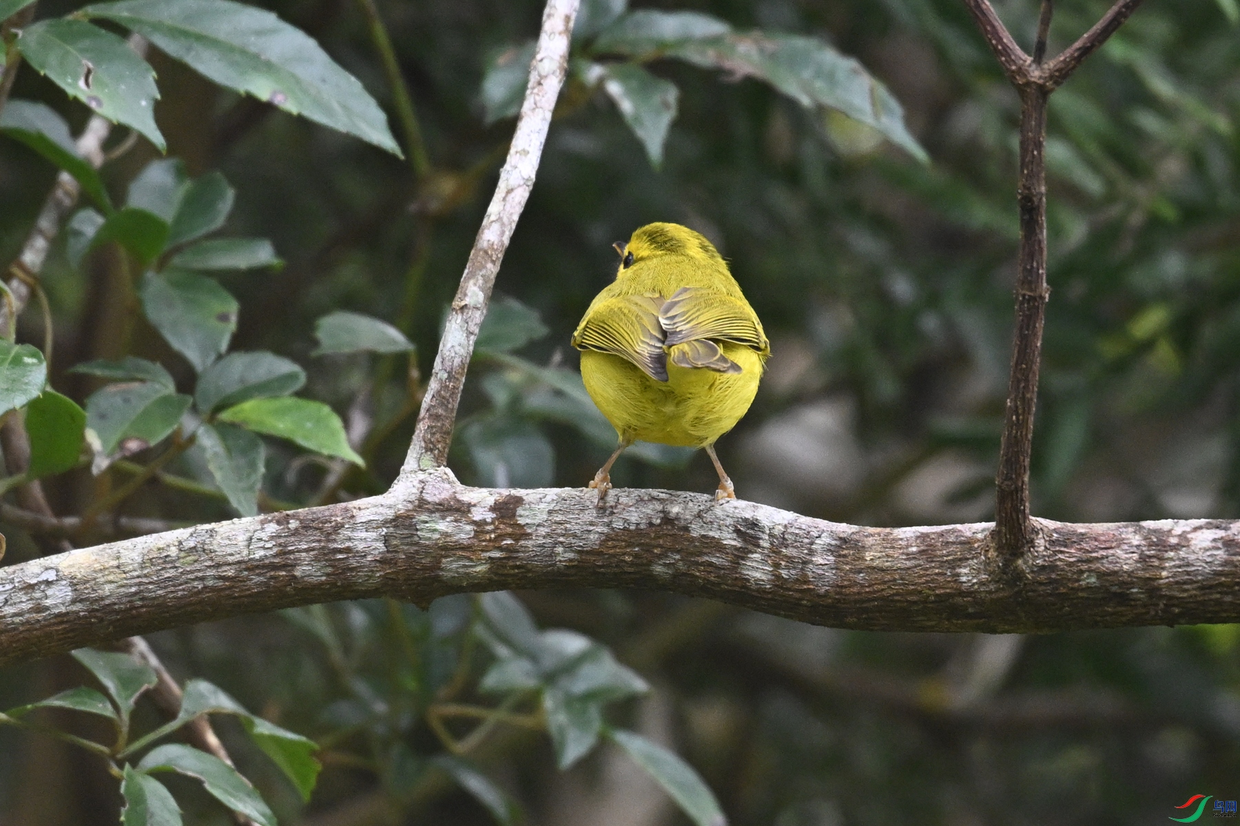 DSC_7060.JPG