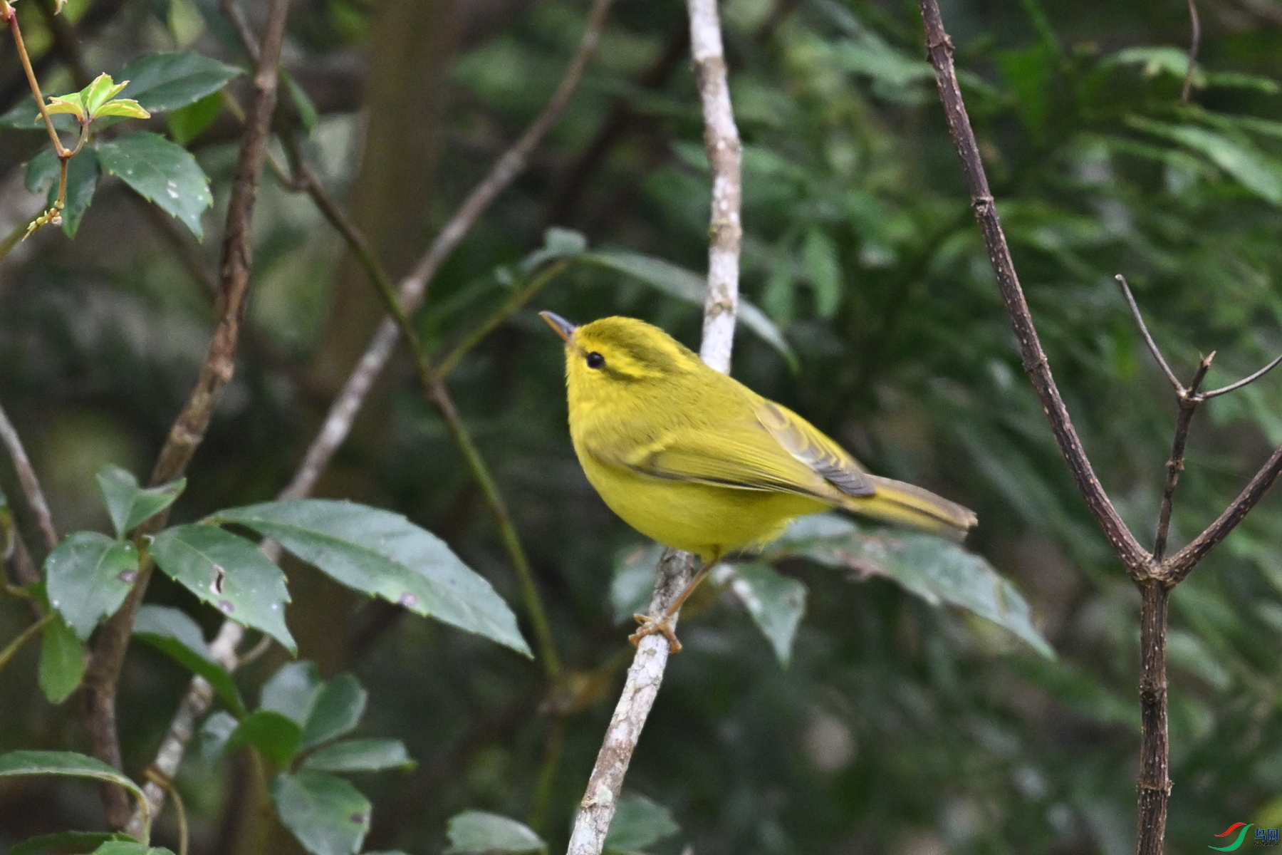 DSC_7061.JPG