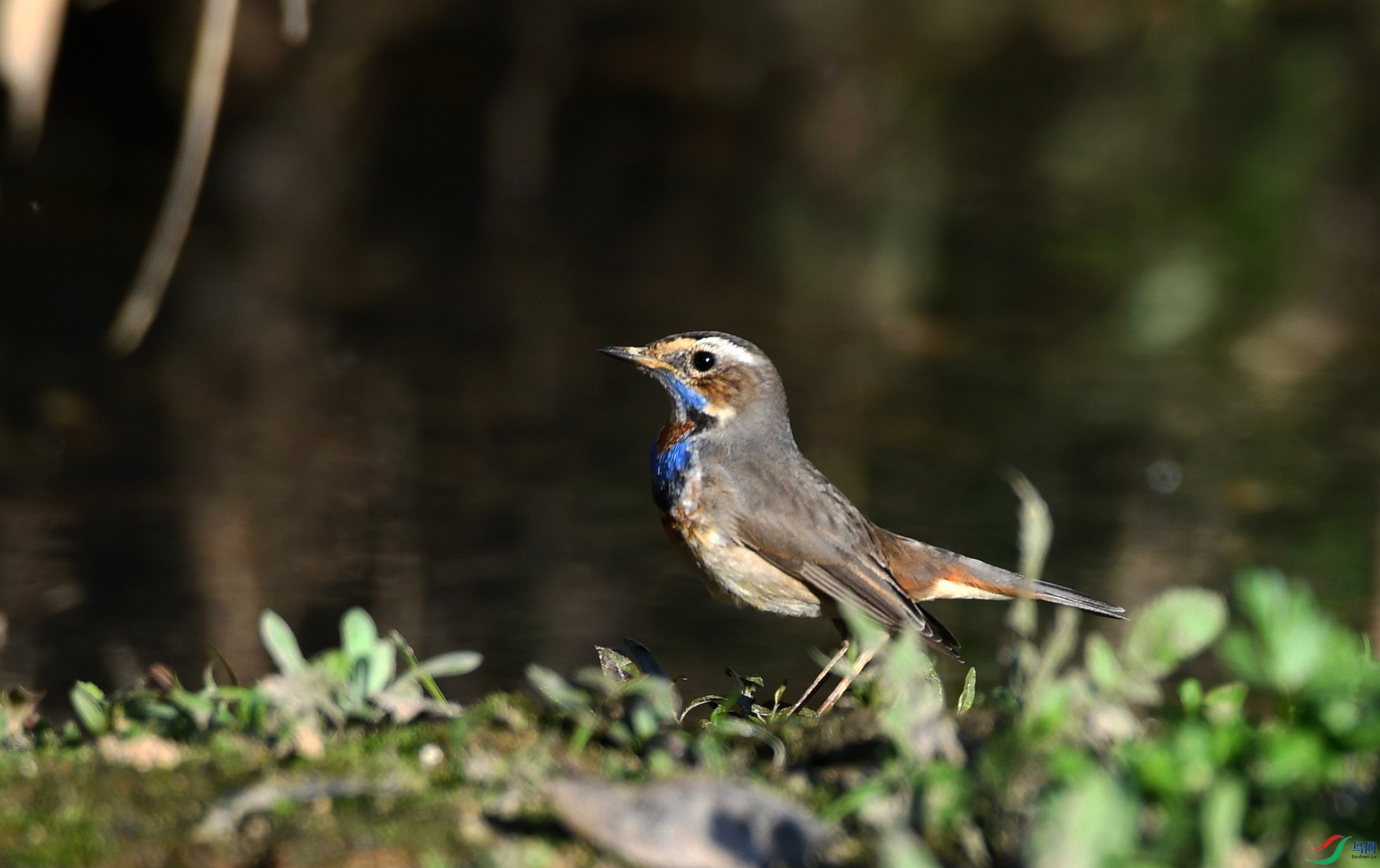 DSC_5139.jpg