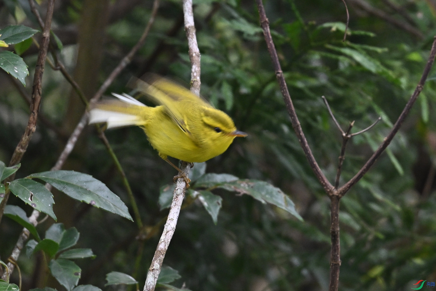 DSC_7067.JPG