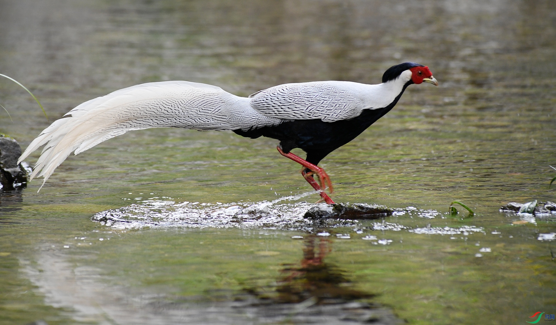 DSC_5346.jpg