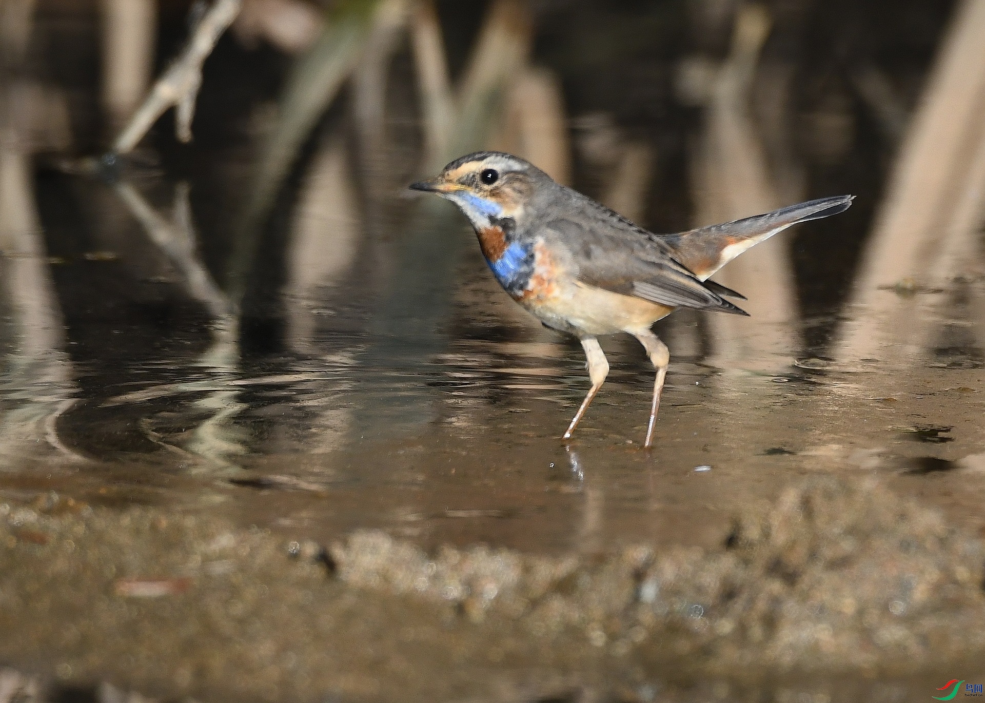 DSC_5269.jpg