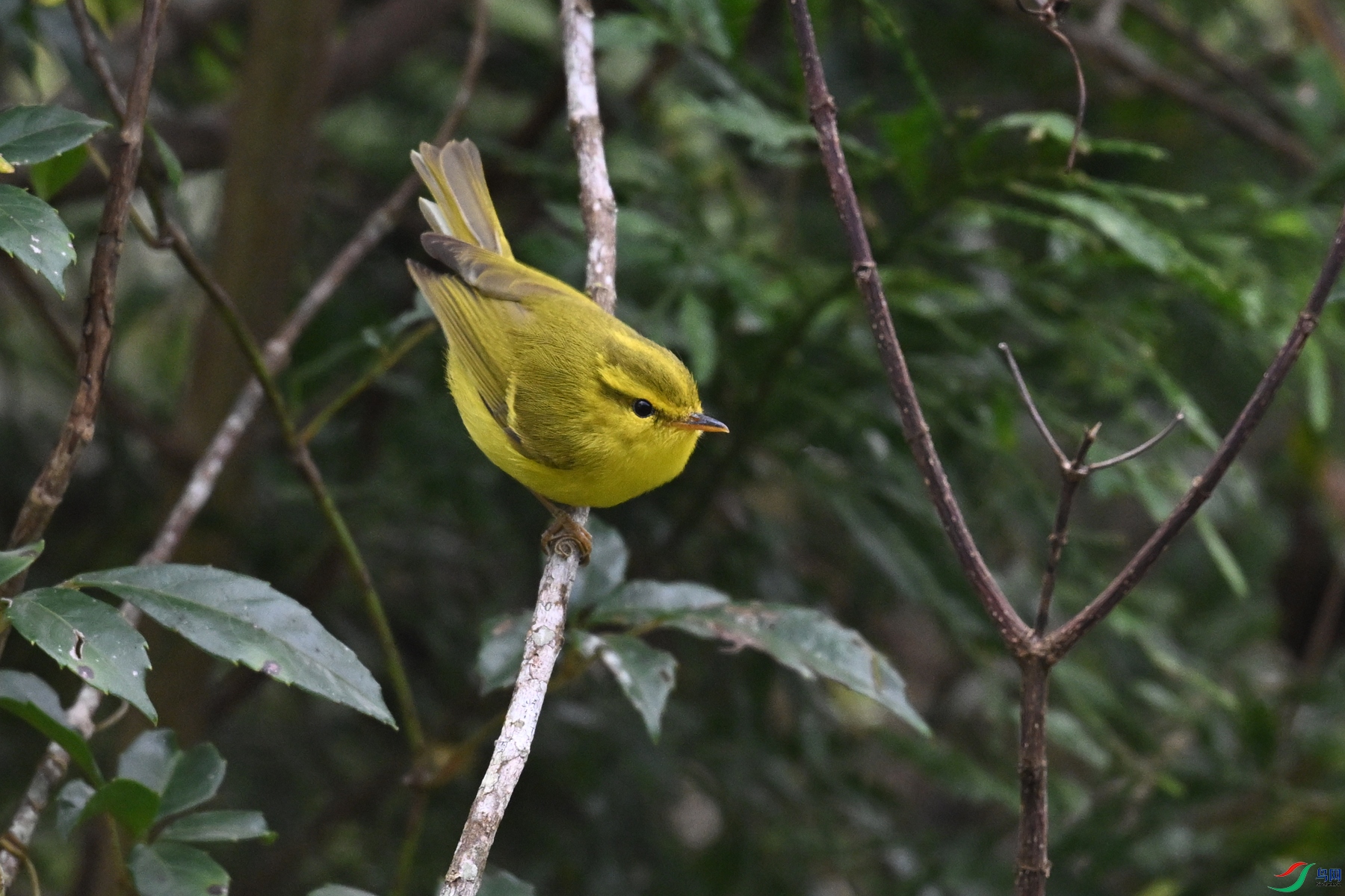 DSC_7091.JPG