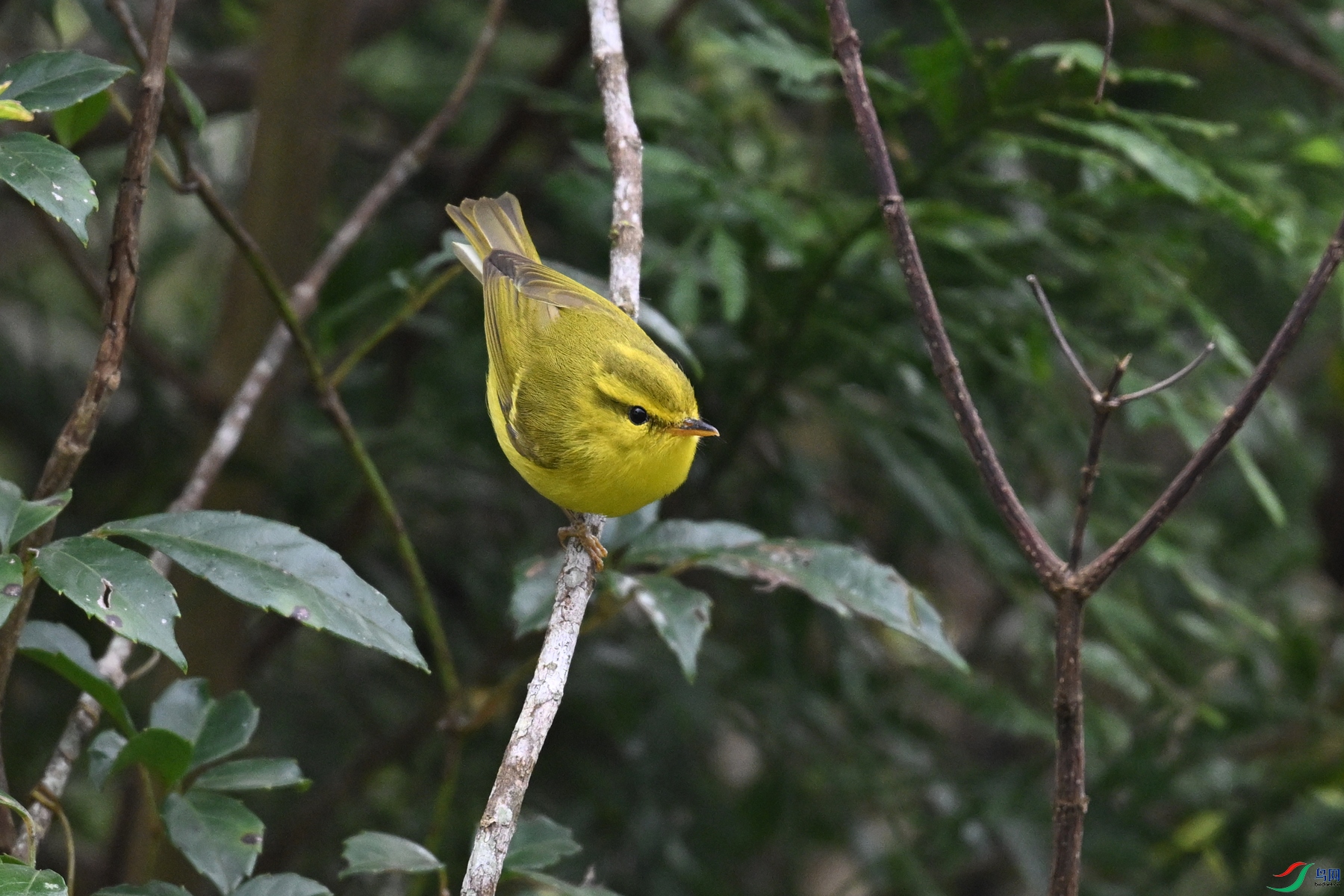 DSC_7069.JPG