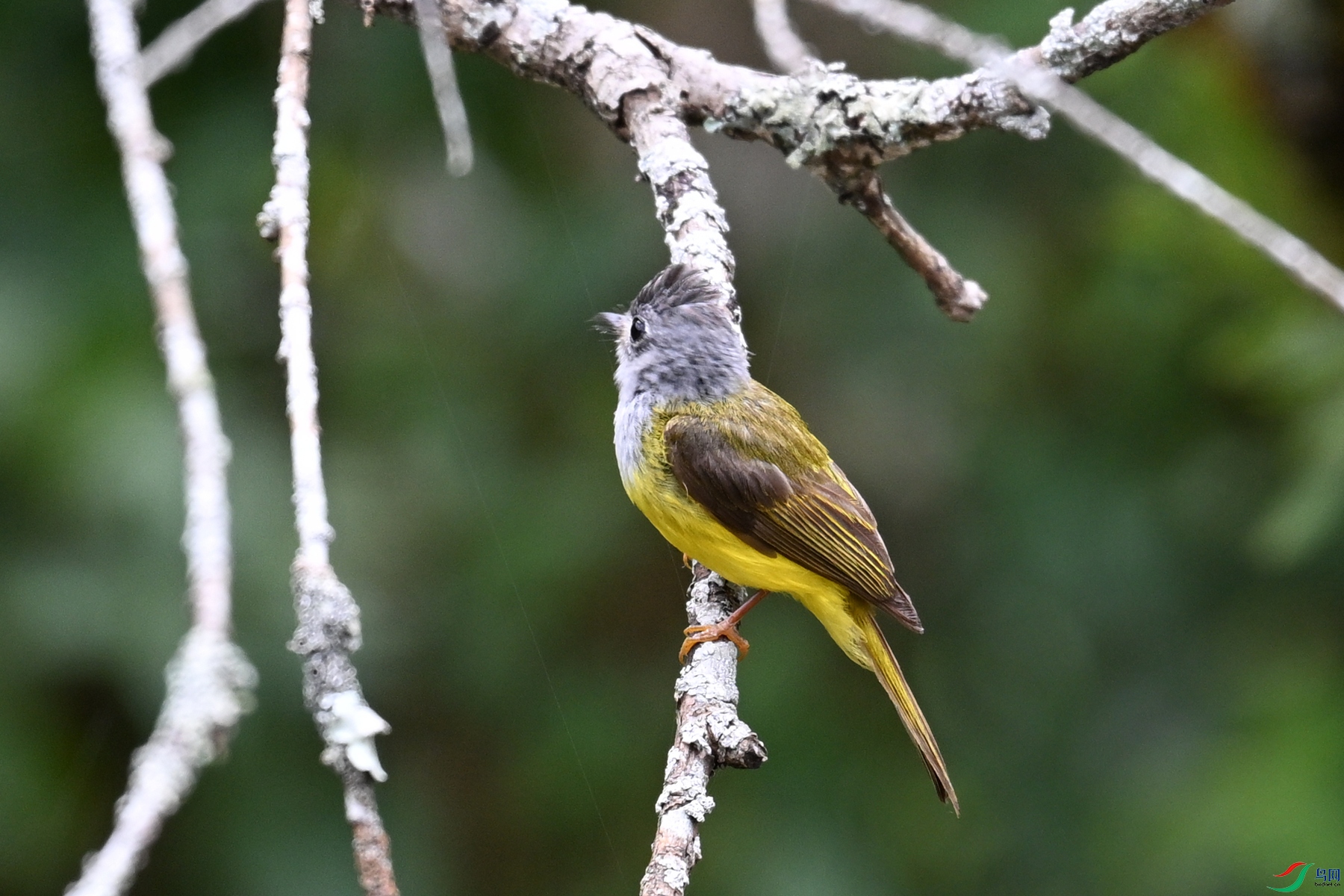 DSC_3048.JPG
