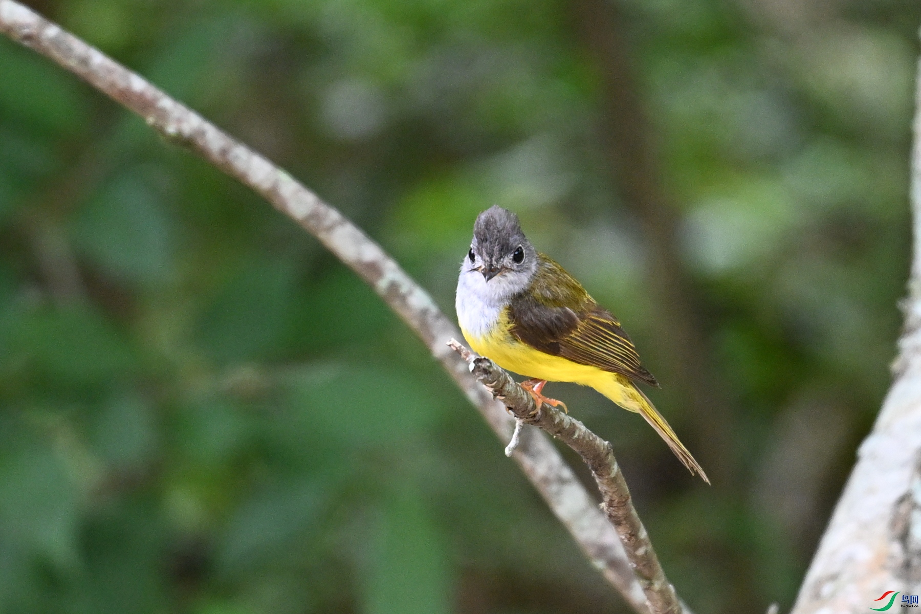 DSC_3061.JPG