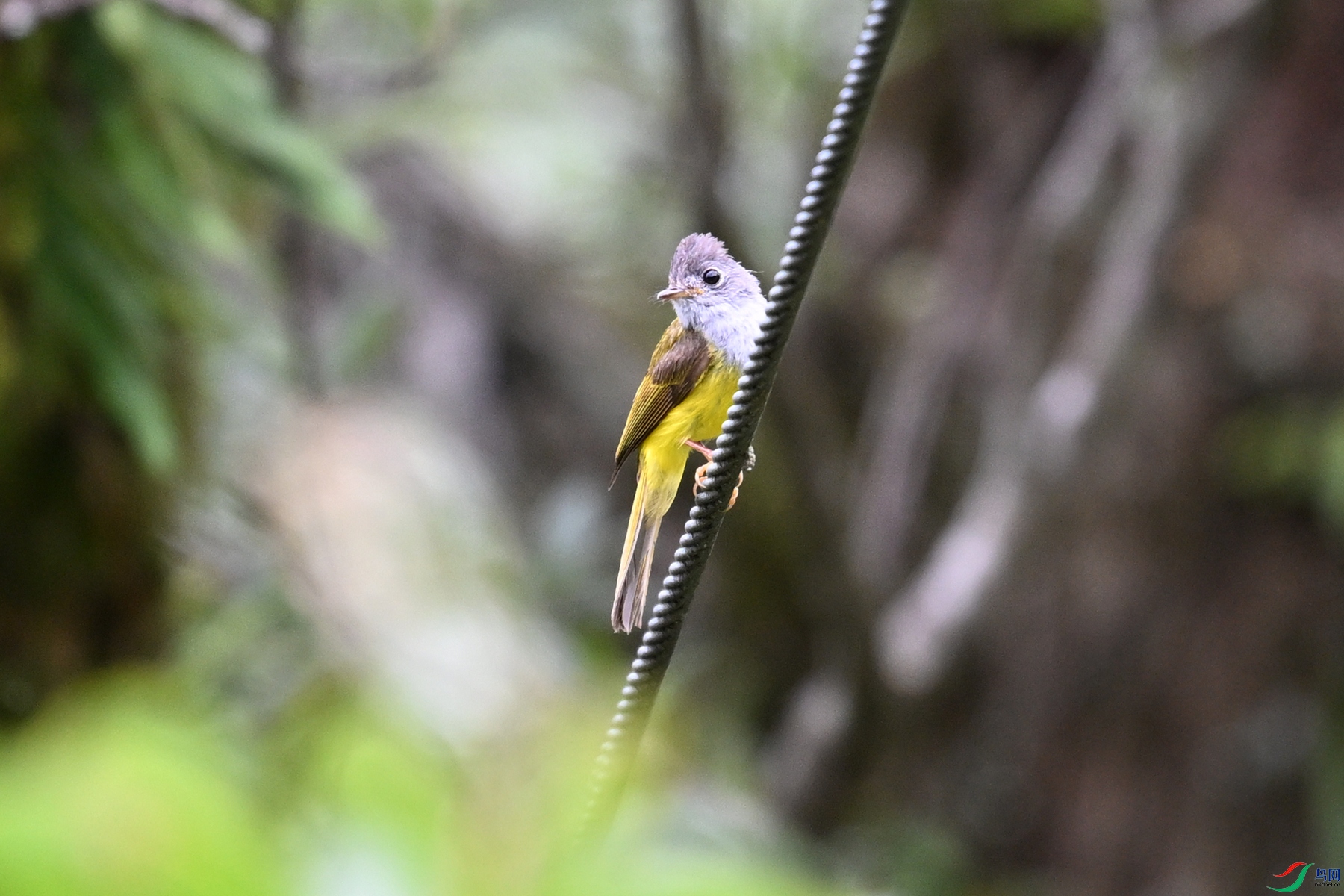 DSC_3007.JPG