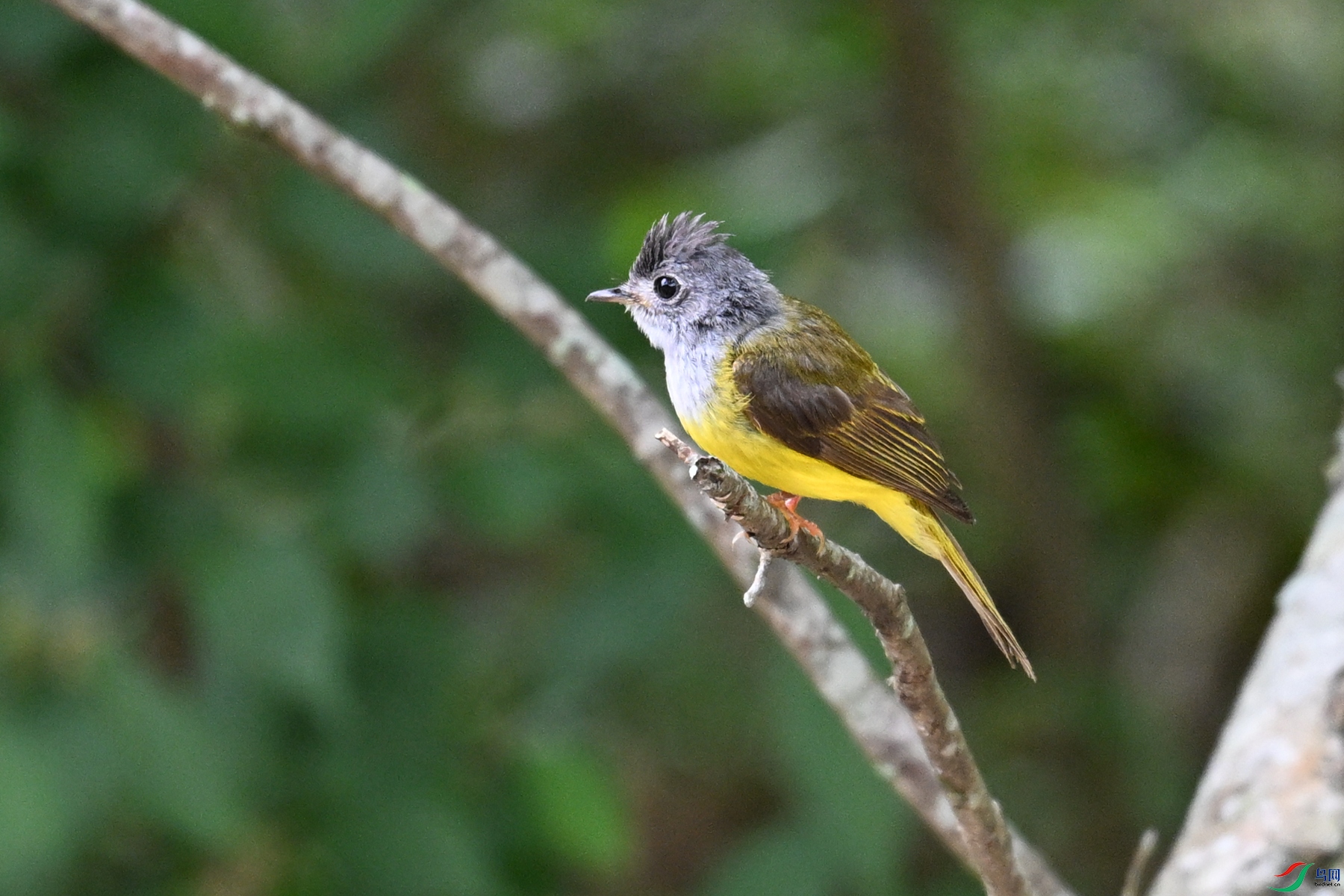 DSC_3065.JPG