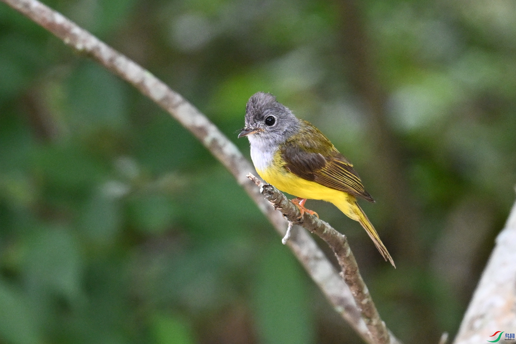 DSC_3067.JPG