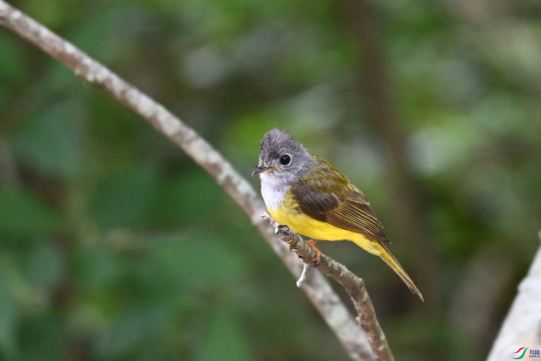 DSC_3083.JPG