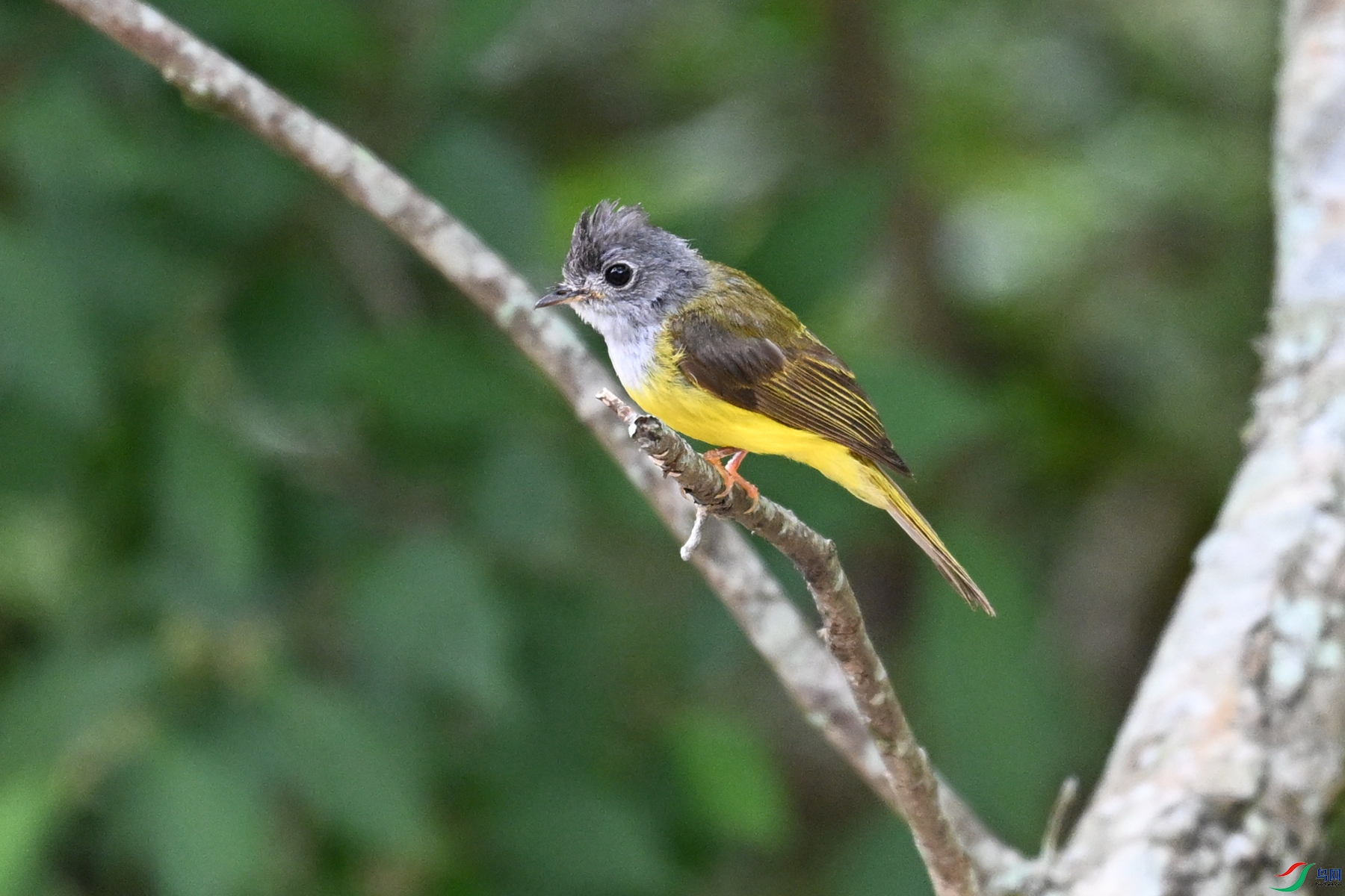 DSC_3057.JPG