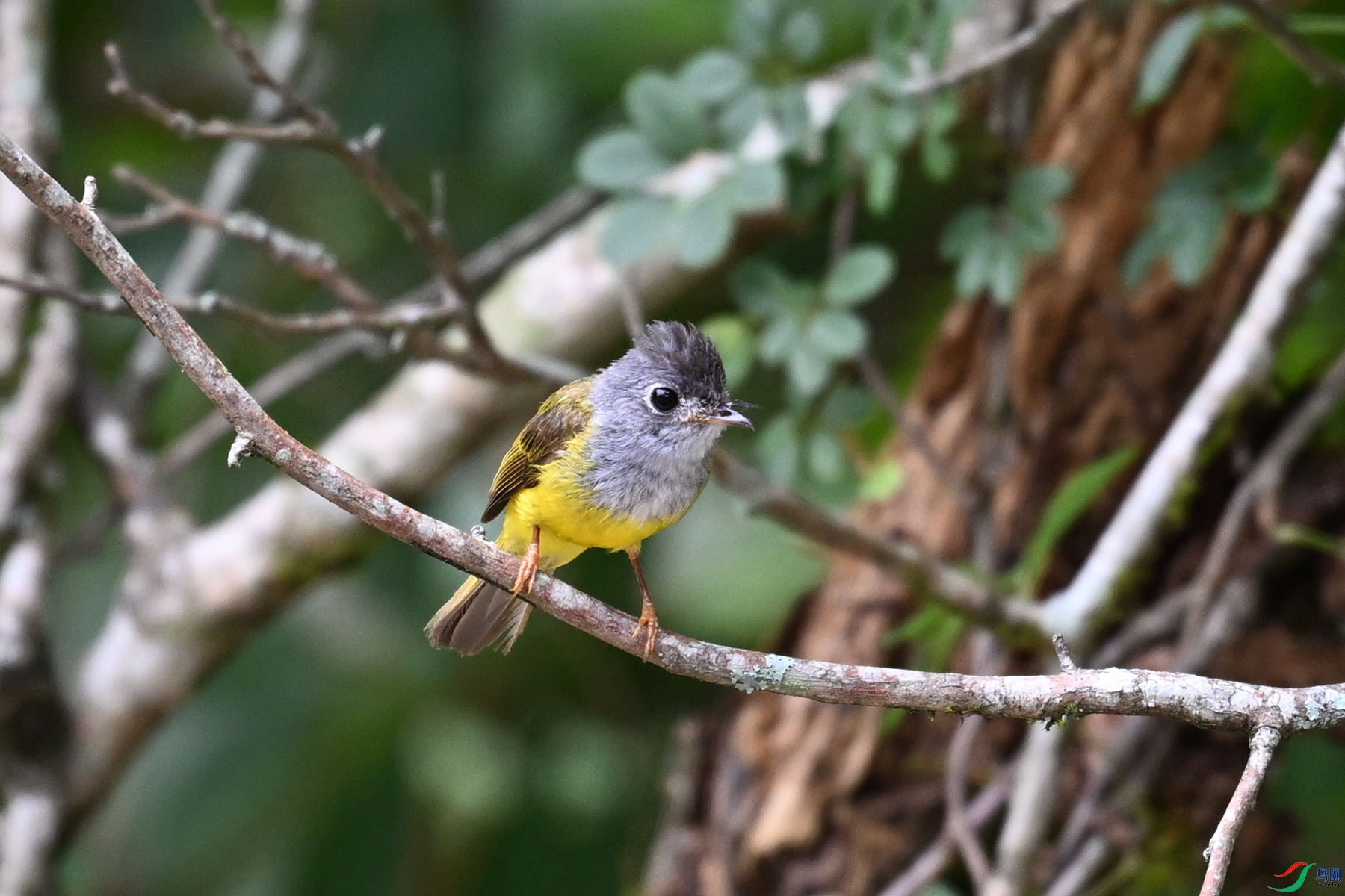 DSC_2997.JPG