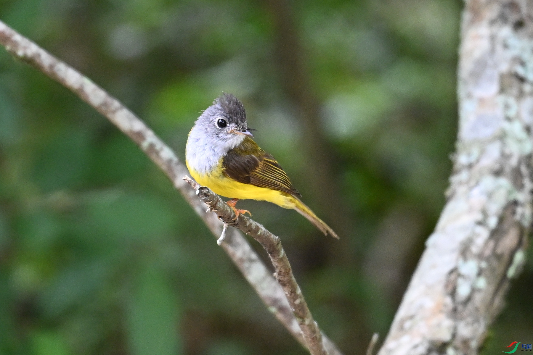 DSC_3063.JPG