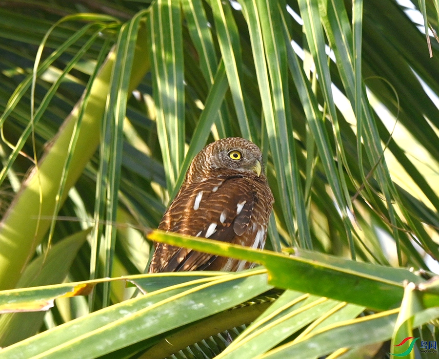 DSC_0359.JPG
