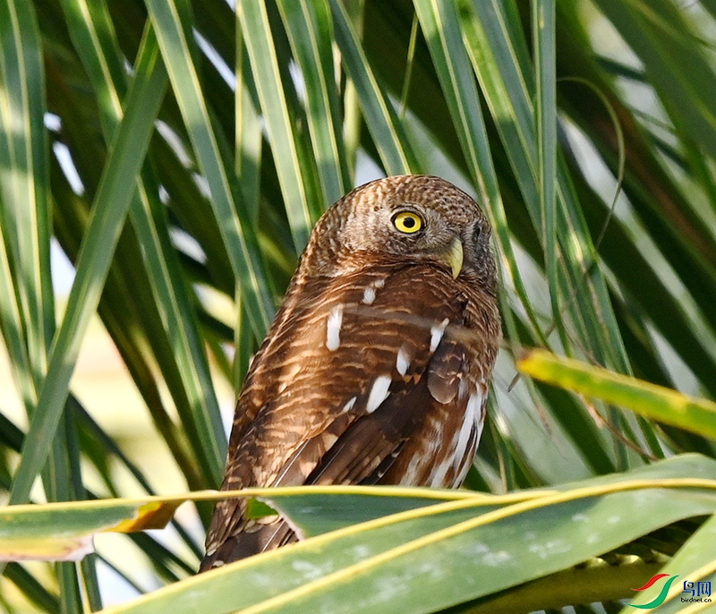 DSC_0487.JPG