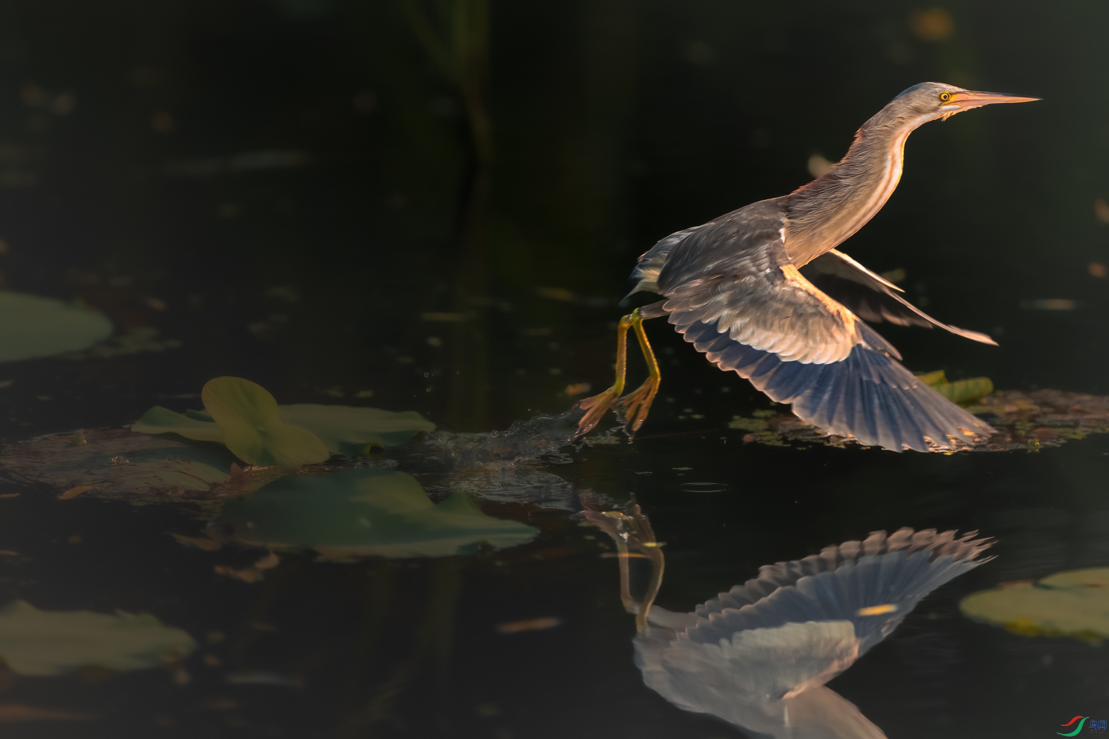 ��β�Z----�ɷ���Ӱ������