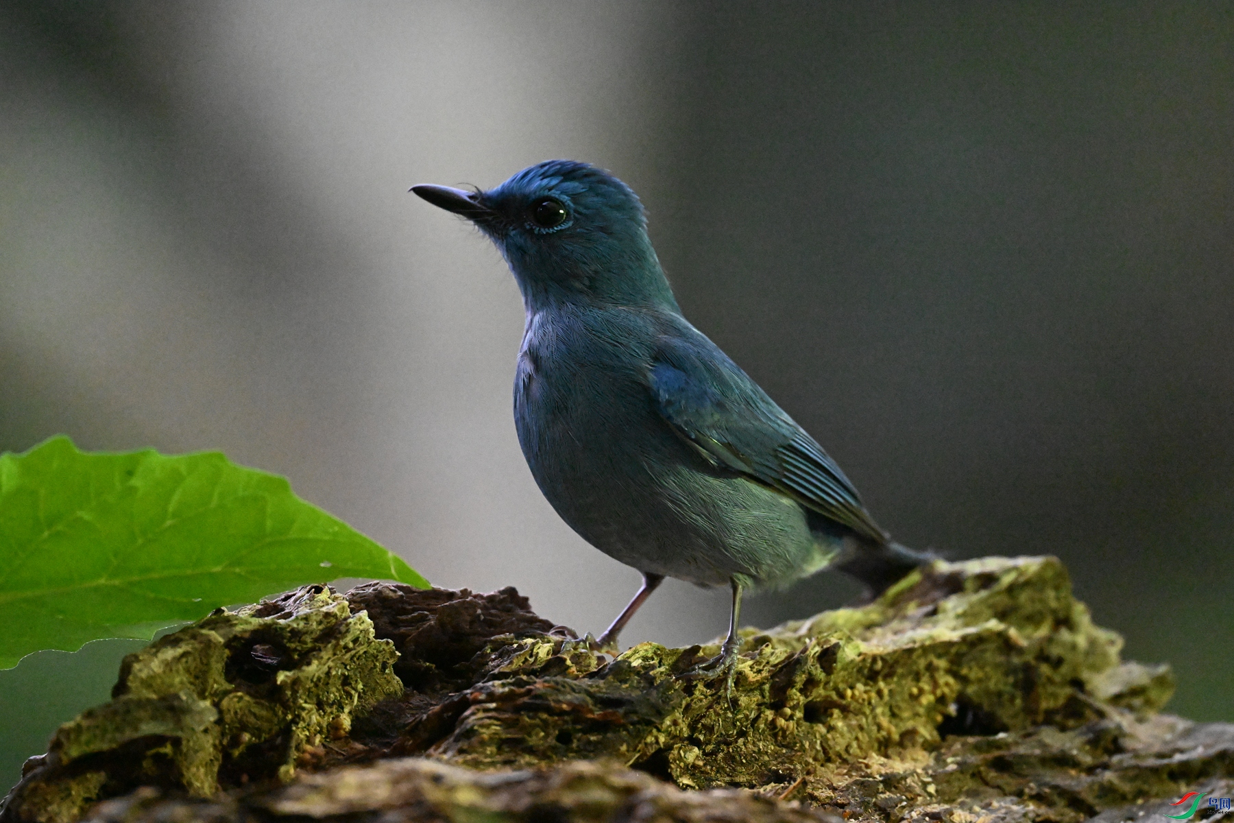 DSC_6997.JPG