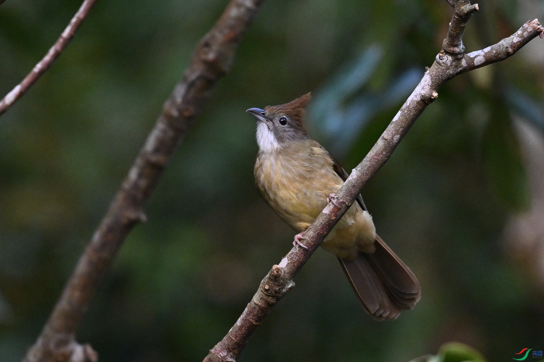 DSC_7038.JPG