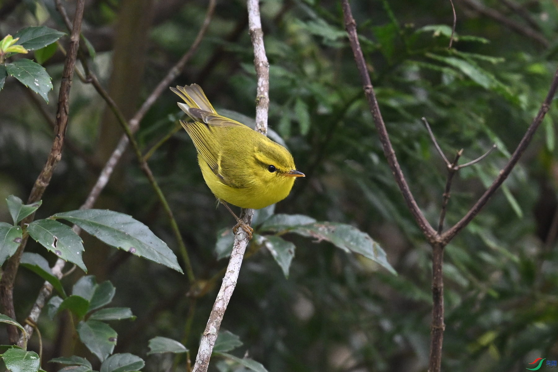 DSC_7073.JPG