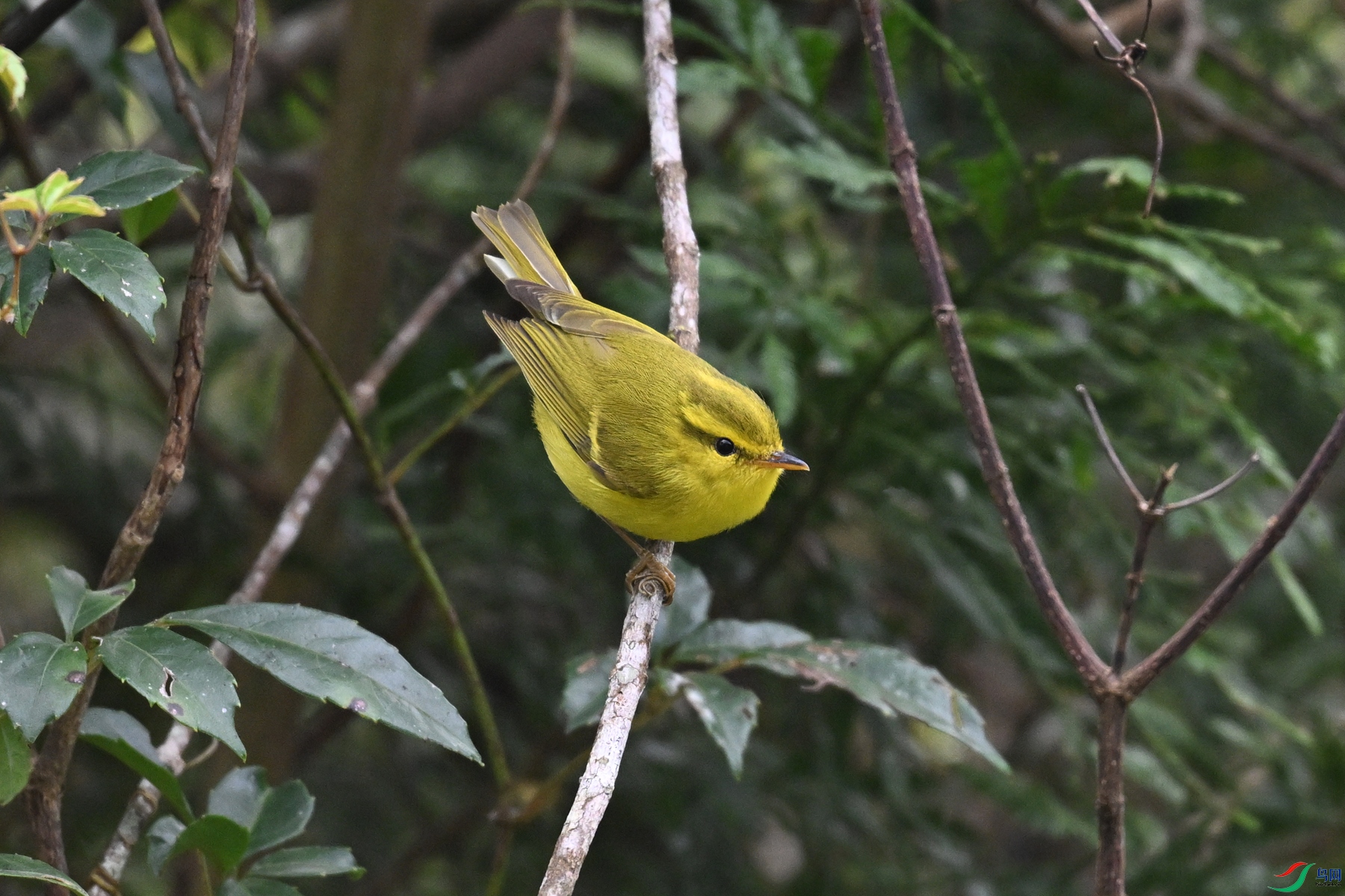 DSC_7093.JPG