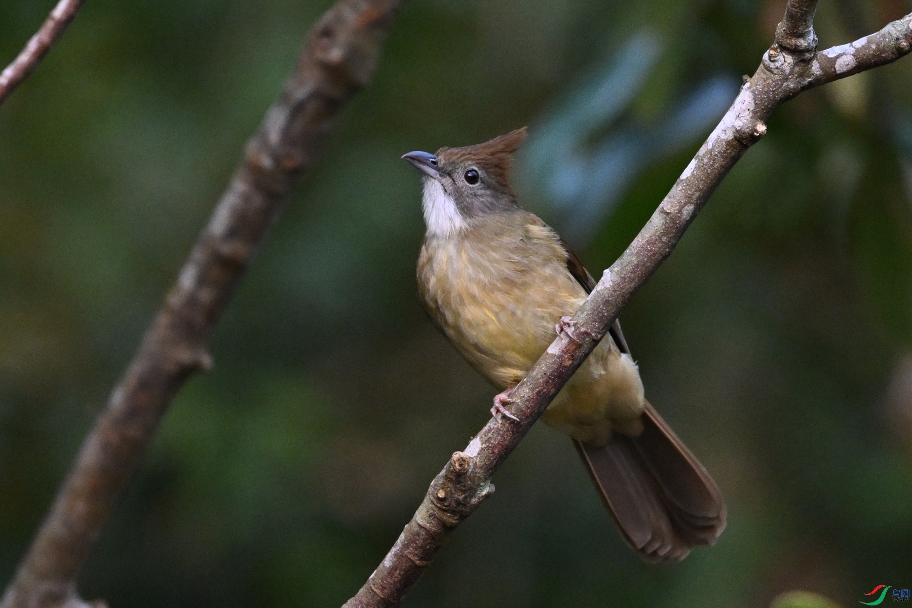 DSC_7040.JPG