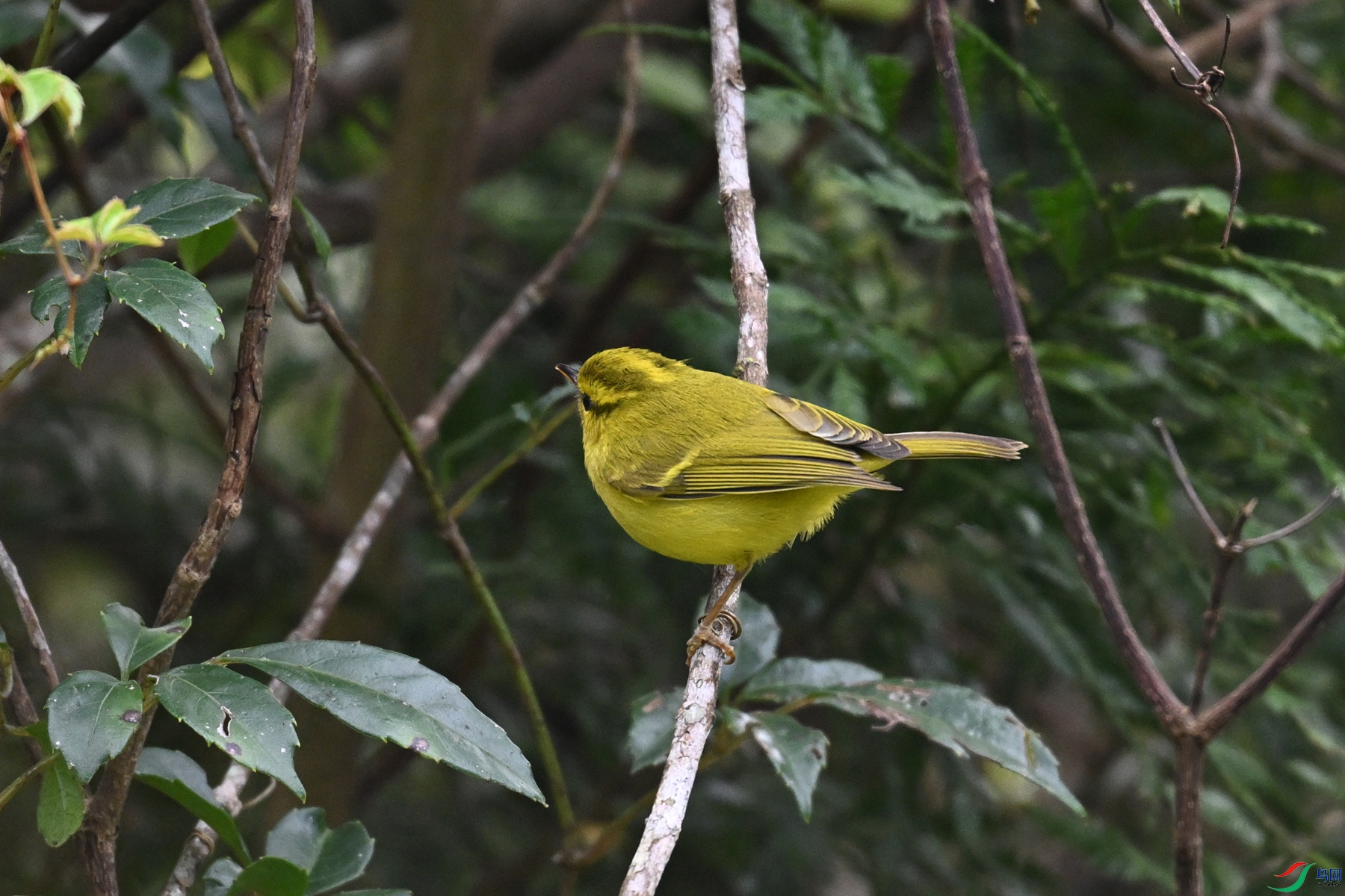 DSC_7090.JPG