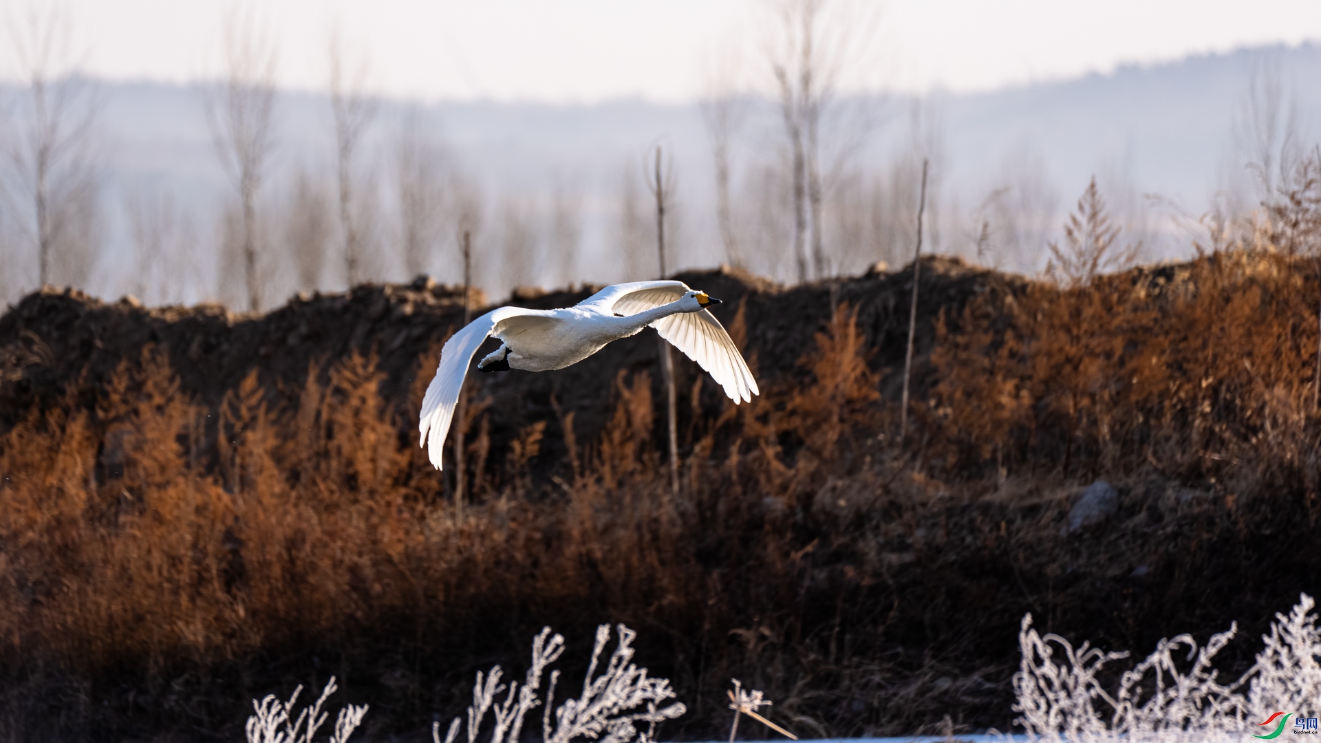 _DSC6499.jpg