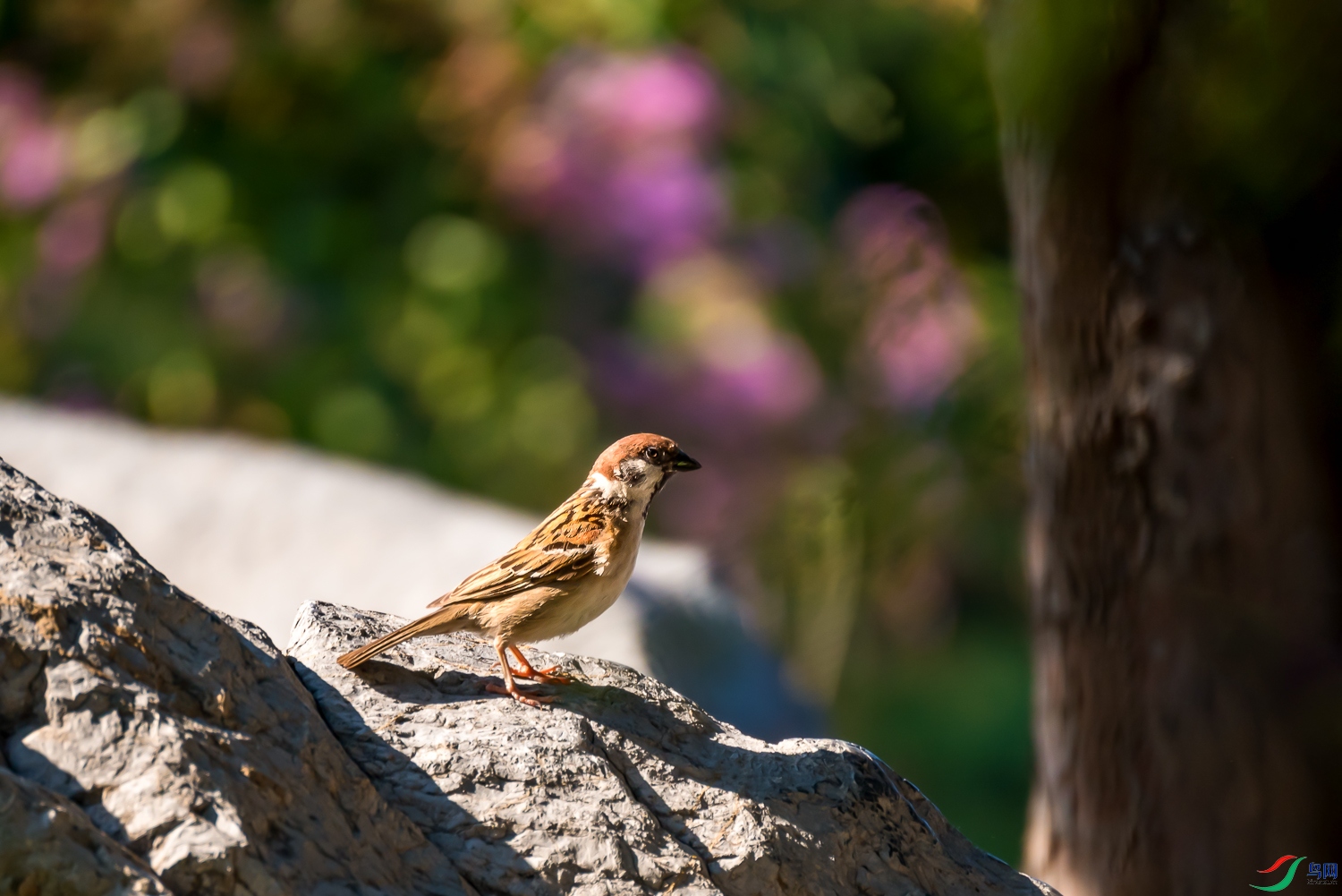 DSC_7280.jpg