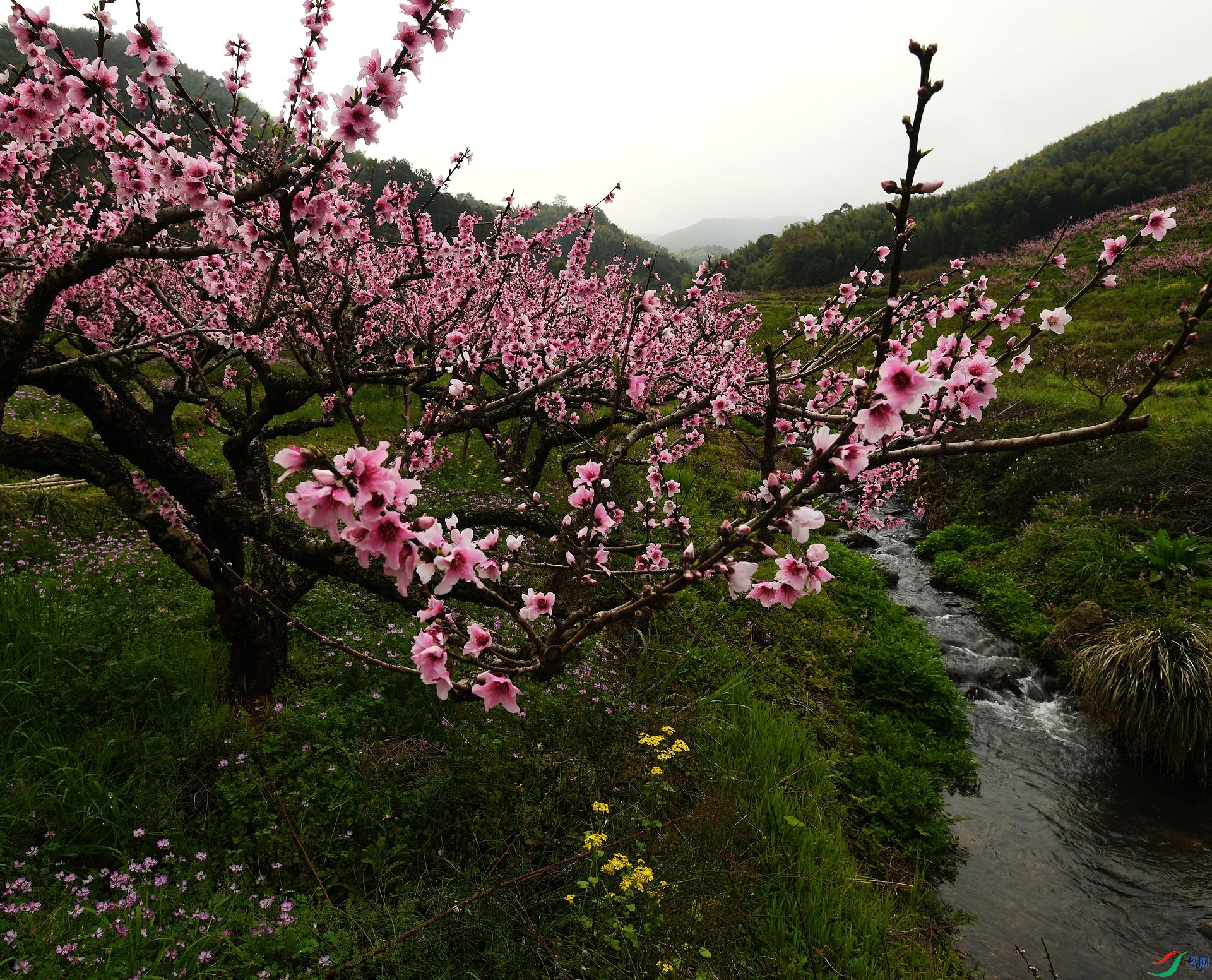 DSC_7509.jpg