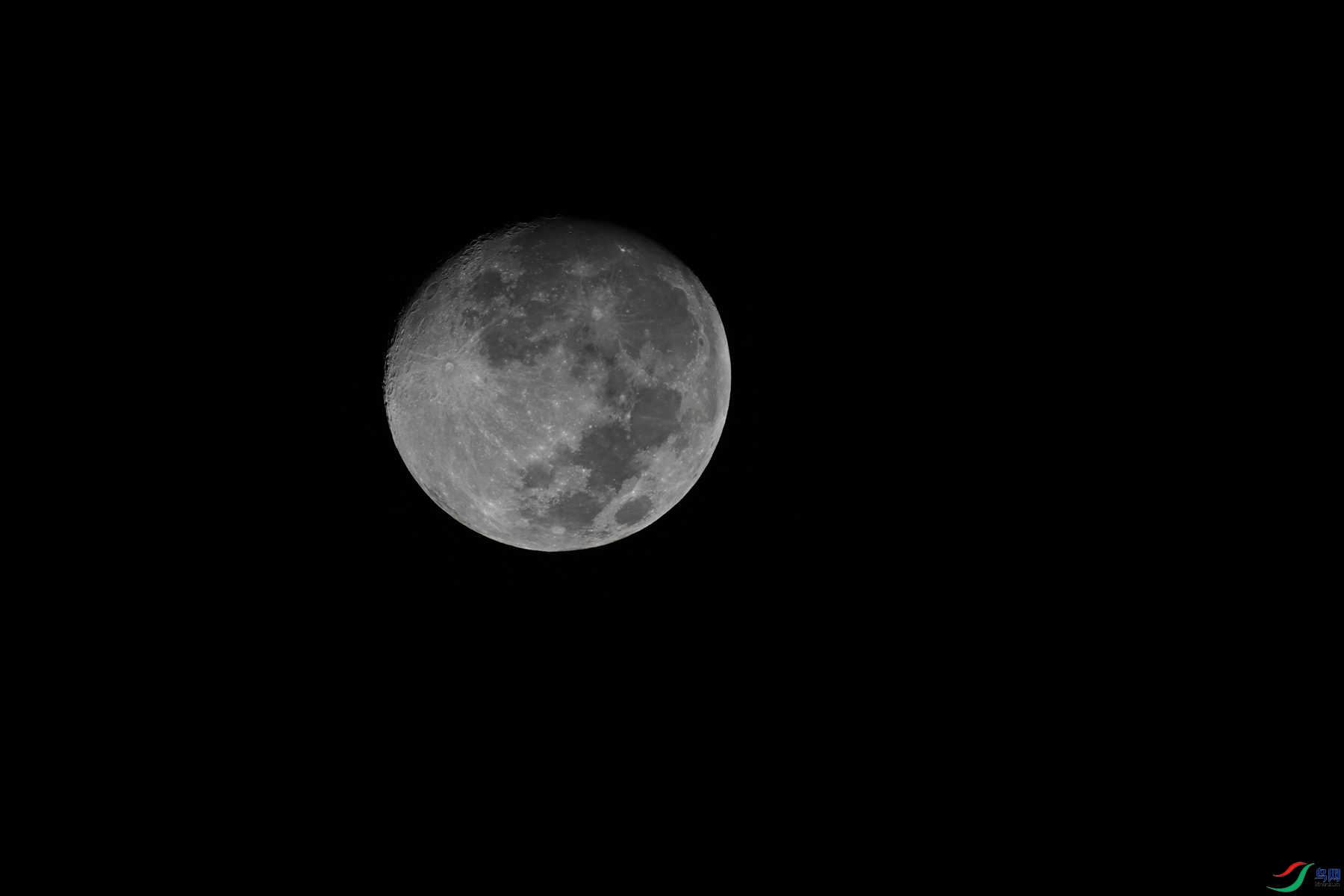 DSC_6979.JPG