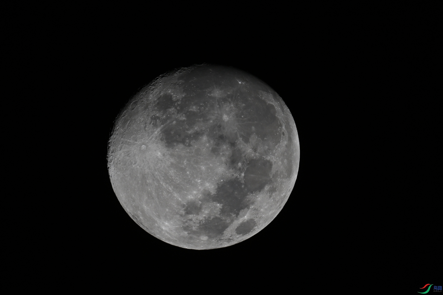 DSC_6980.JPG