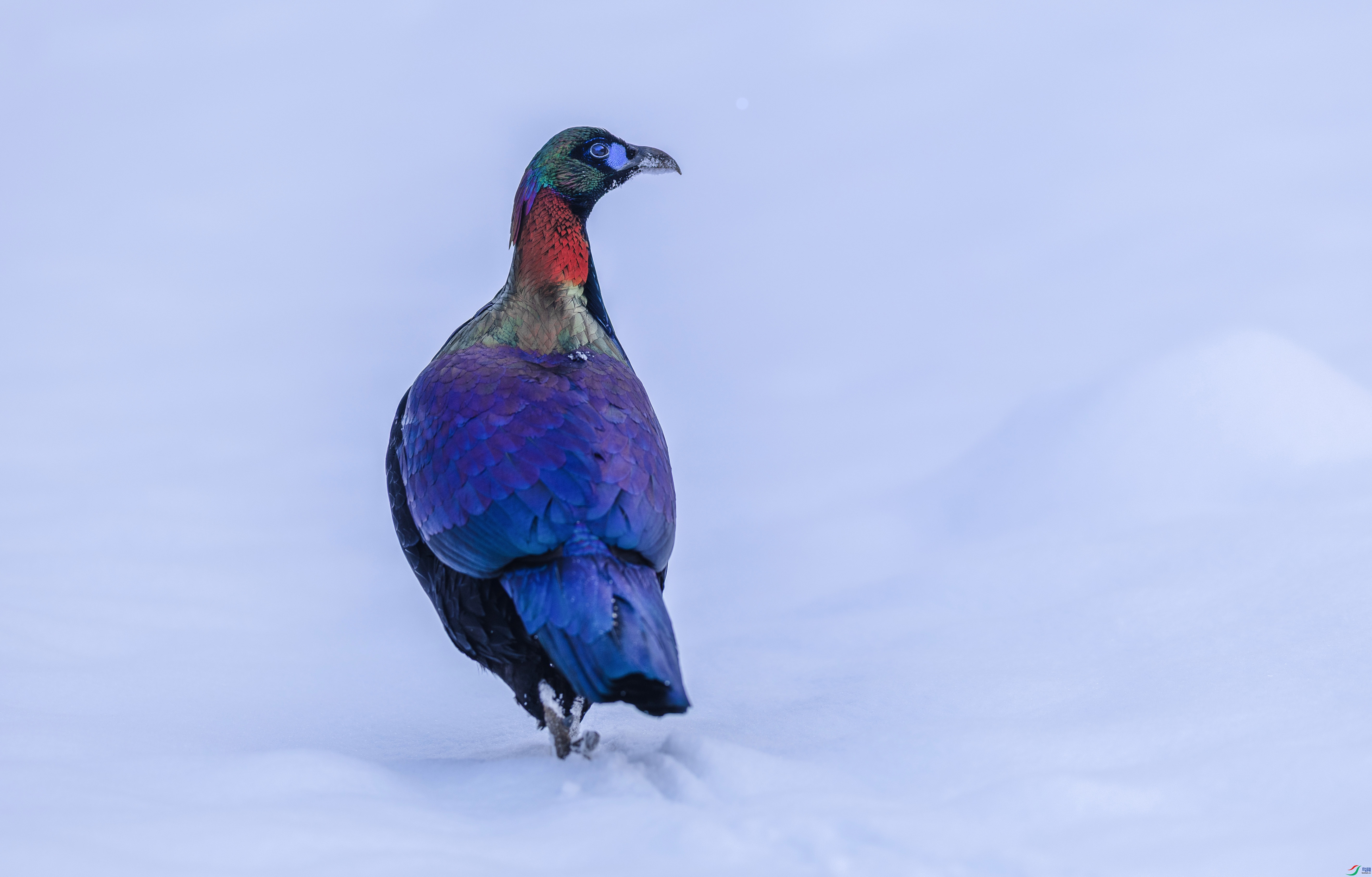 0N6A5180 ���� 3.jpg