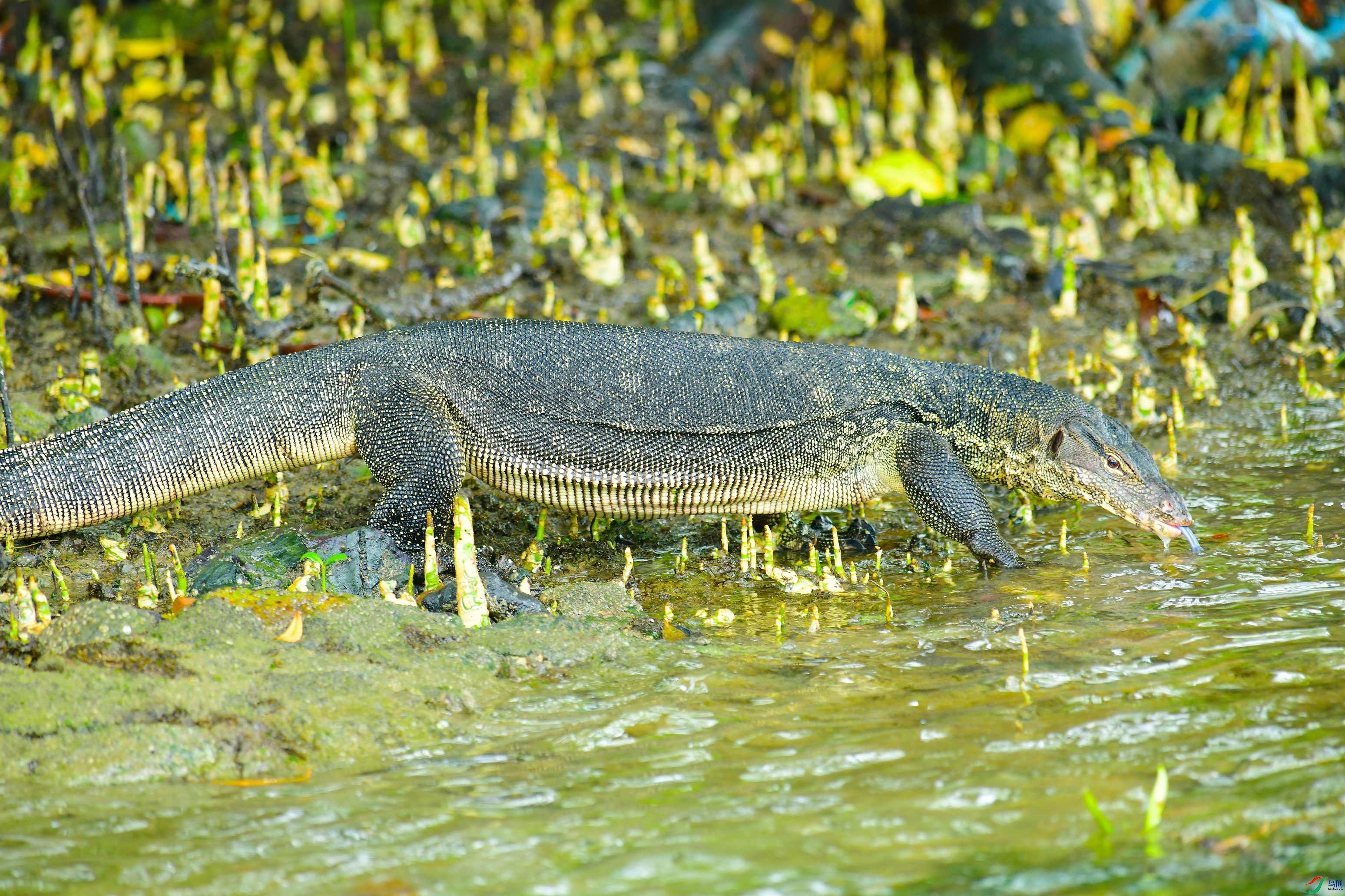 DSC_2054.JPG