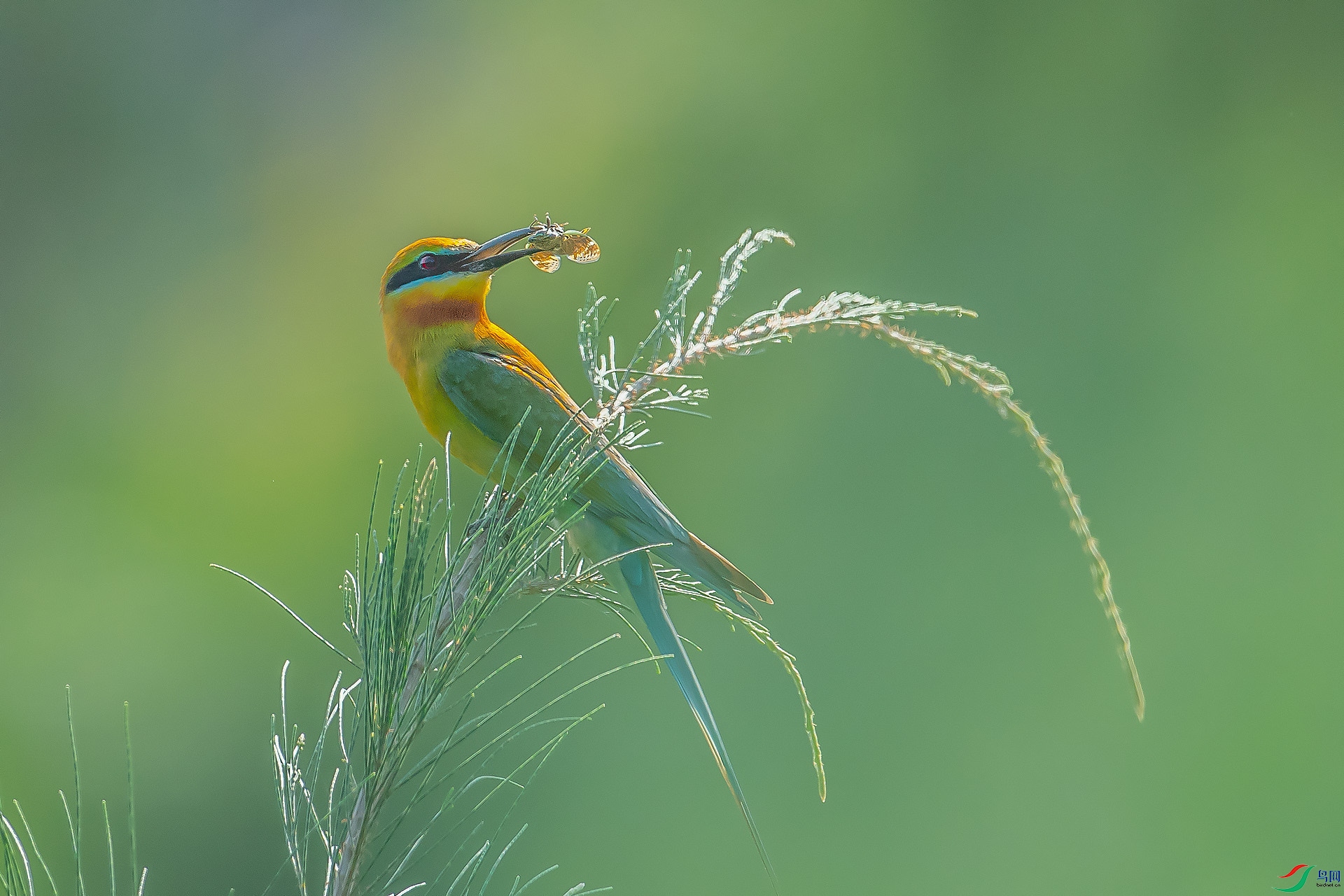 DSC_7651.jpg