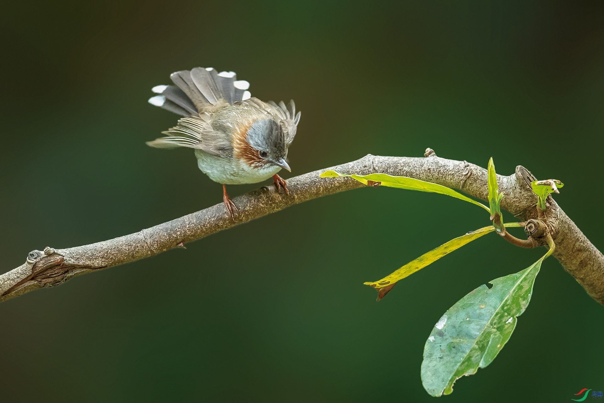 DSC_6640.jpg