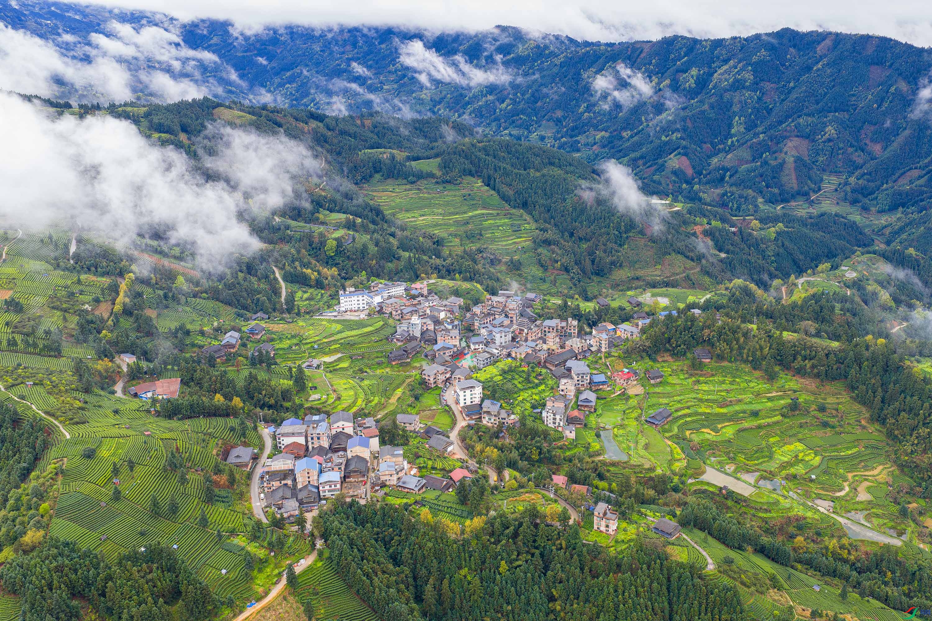DJI_20260324101418_0125_D-����ǿ-NR.JPG