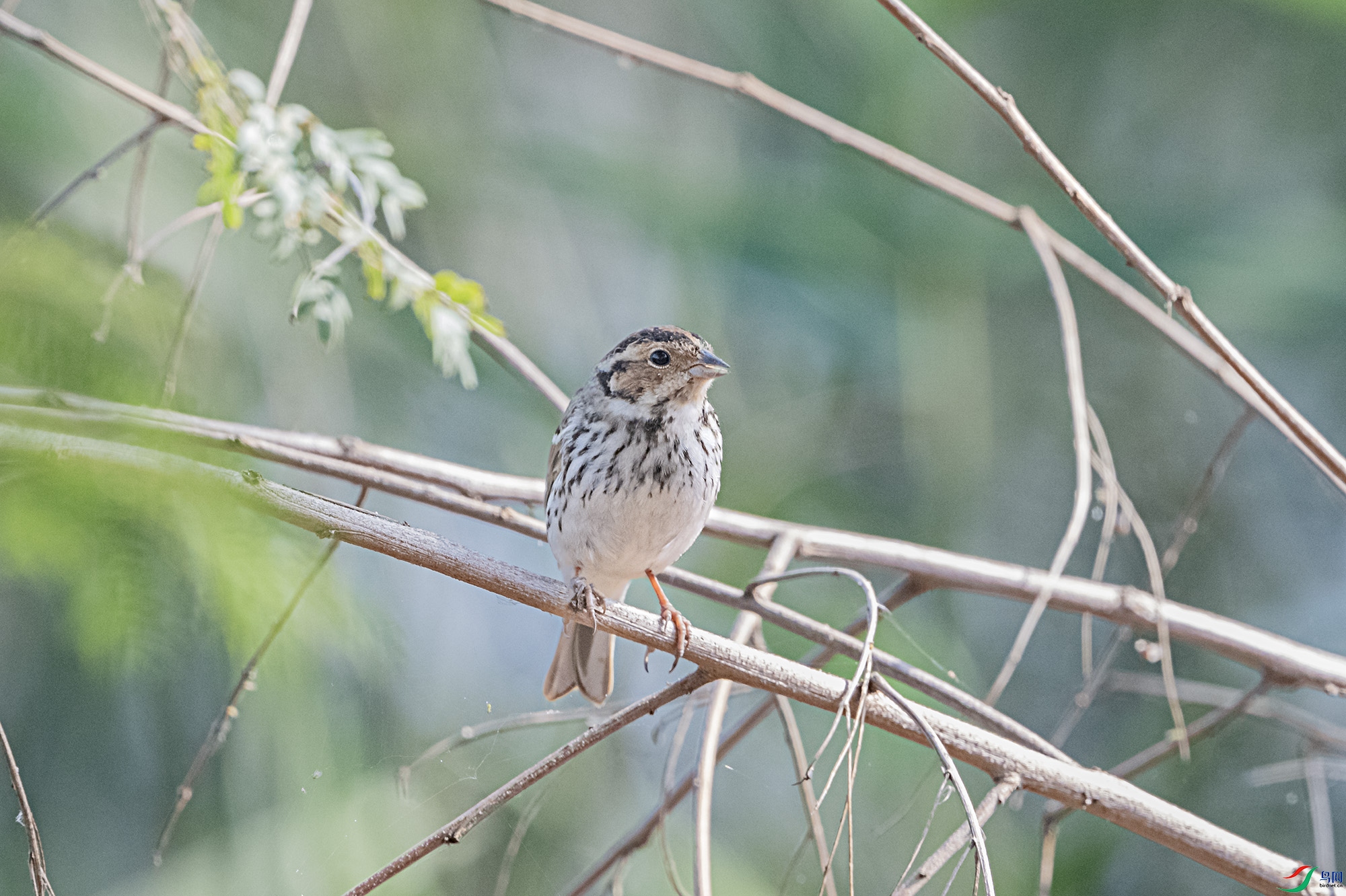 DSC_5489.jpg