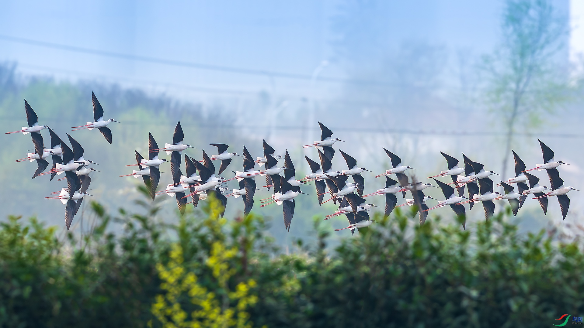 _F9A2462 ����.jpg