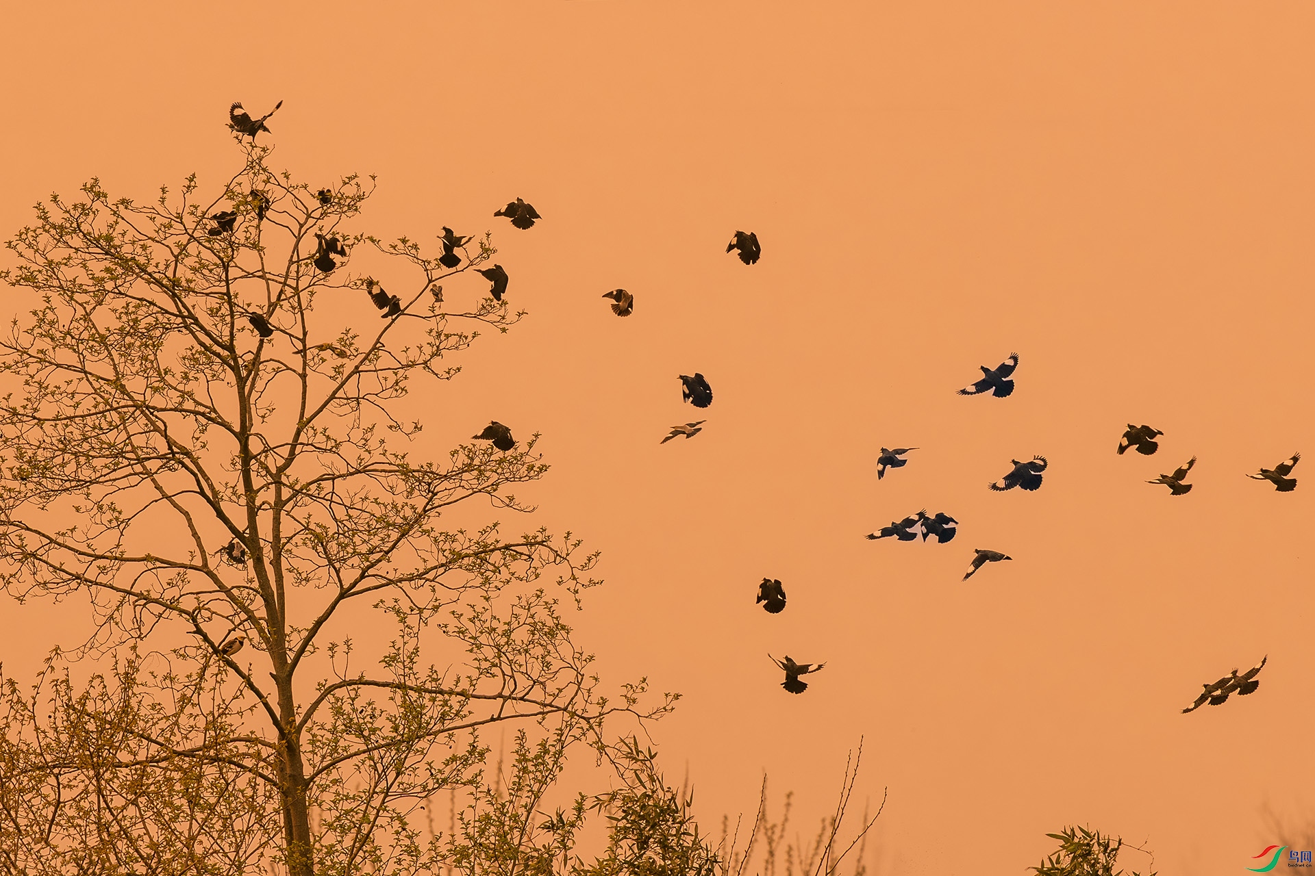 _F9A3275 ����.jpg