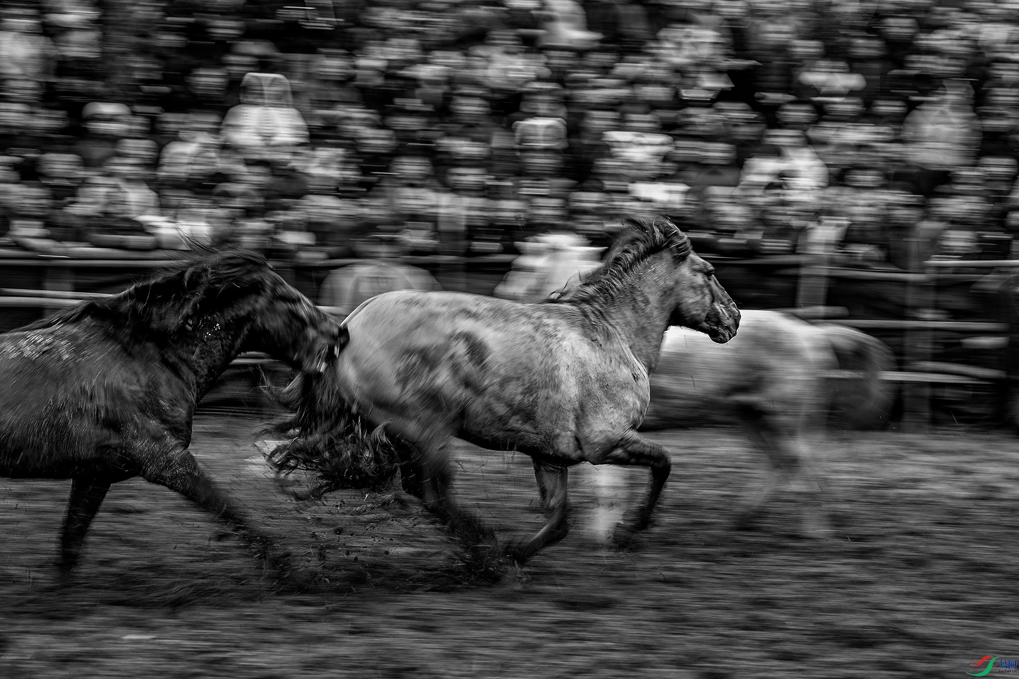b5f2555150c0635a2b1aa1e6f7adb801.jpg